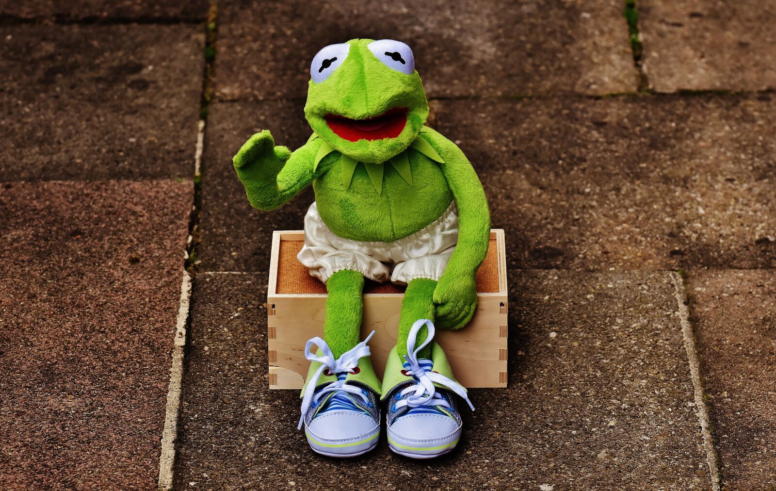 Nikon D7200 sample photo. Kermit, sit, bank photography