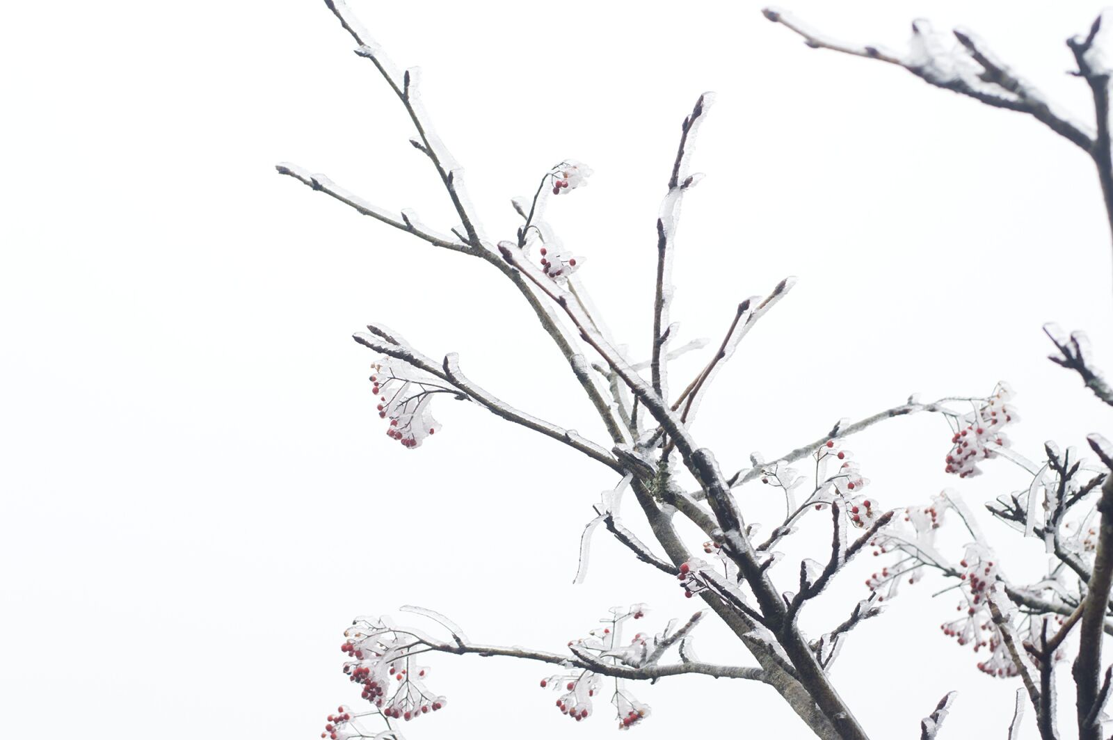 Nikon D3200 sample photo. China, anhui, huangshan photography