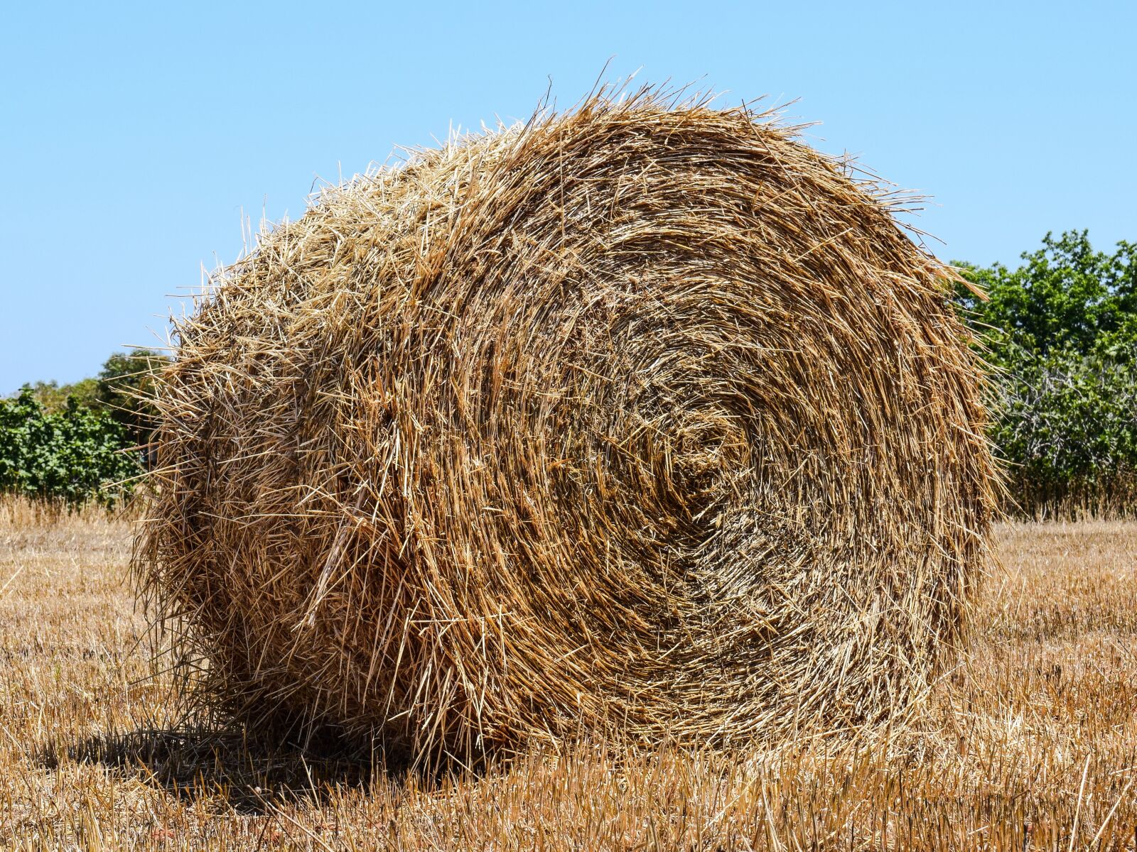 Nikon D3300 sample photo. Hay bale, hay, forage photography