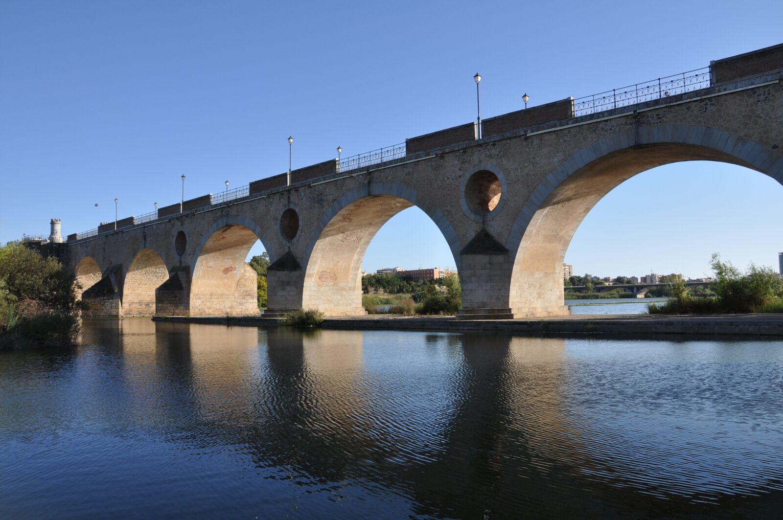 Nikon D90 sample photo. Badajoz, bridge palm, spain photography