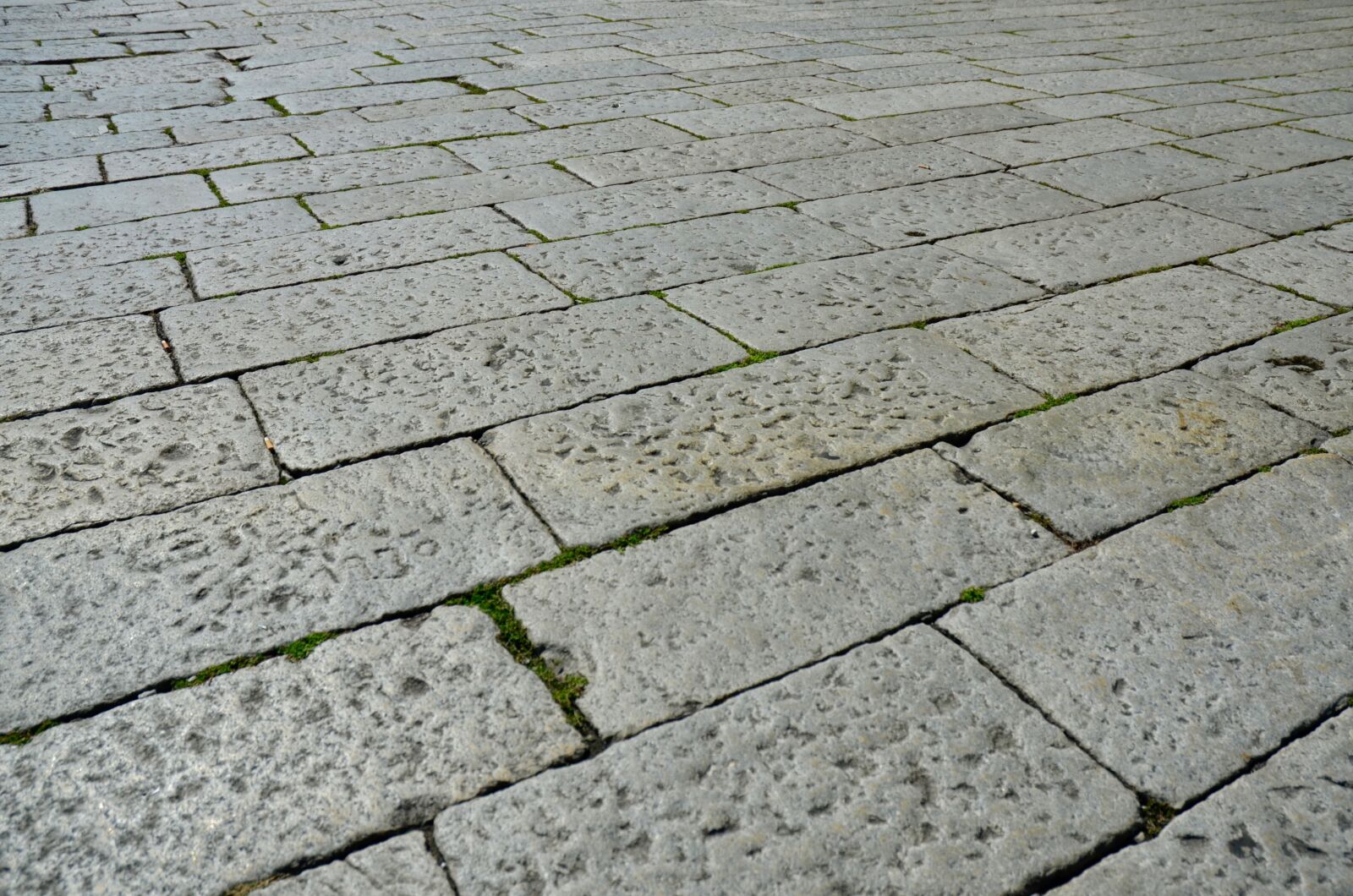 Nikon D5100 sample photo. Patch, pavement, away photography