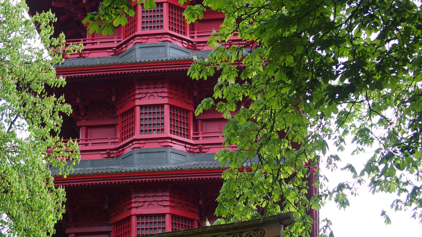 Olympus STYLUS1 sample photo. Pagoda, japan, architecture photography