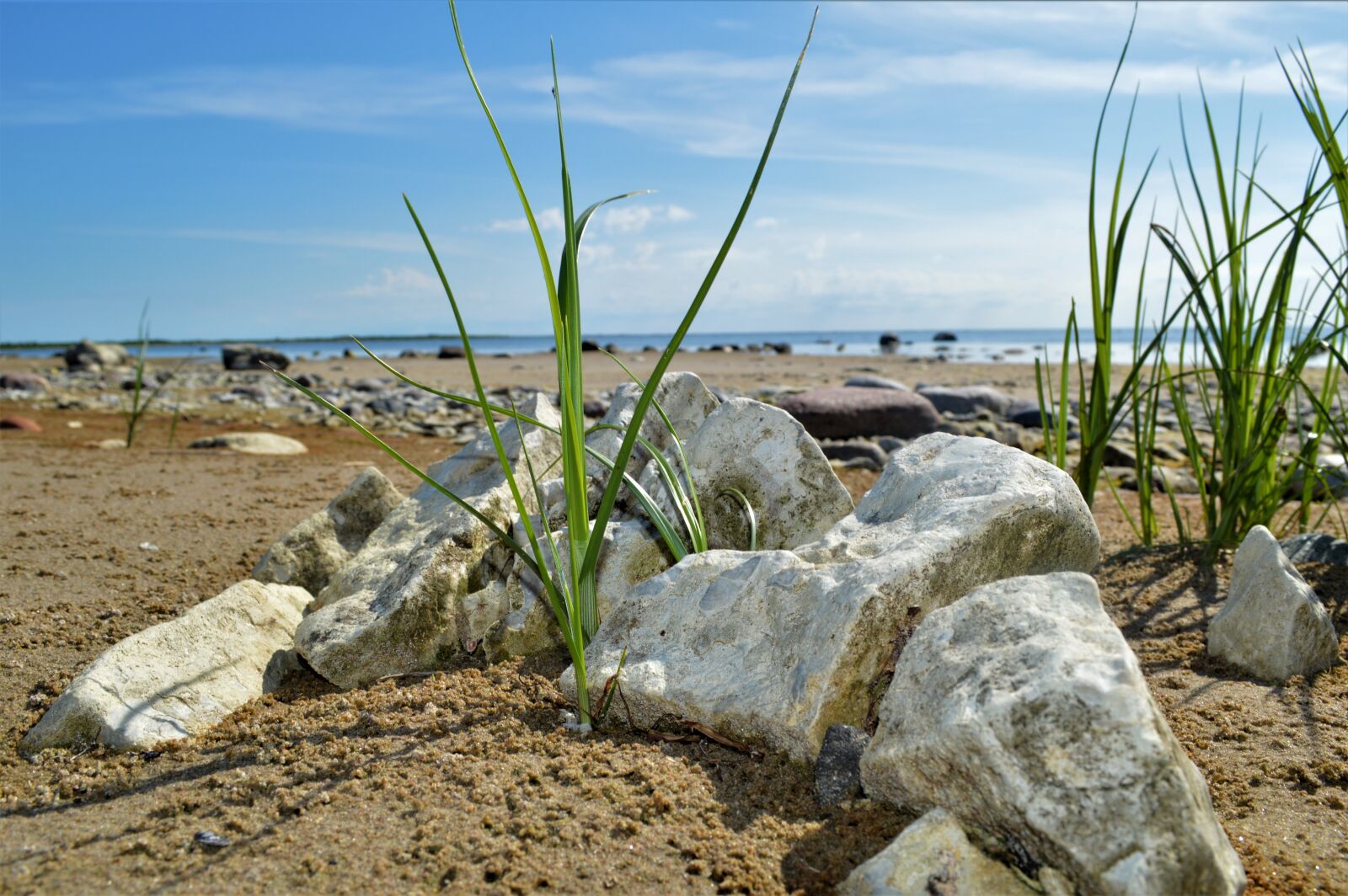 Nikon D3200 sample photo. Beach, rocks, ife photography