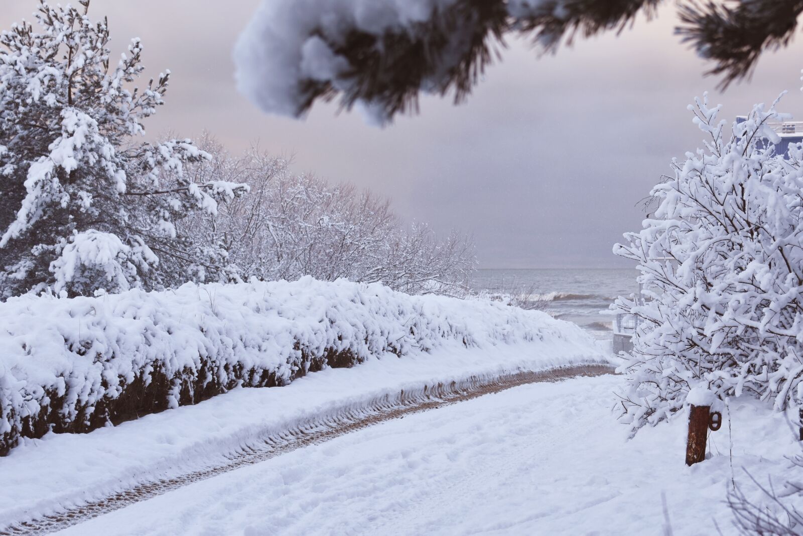 Nikon D7200 sample photo. Winter, snow, wintry photography