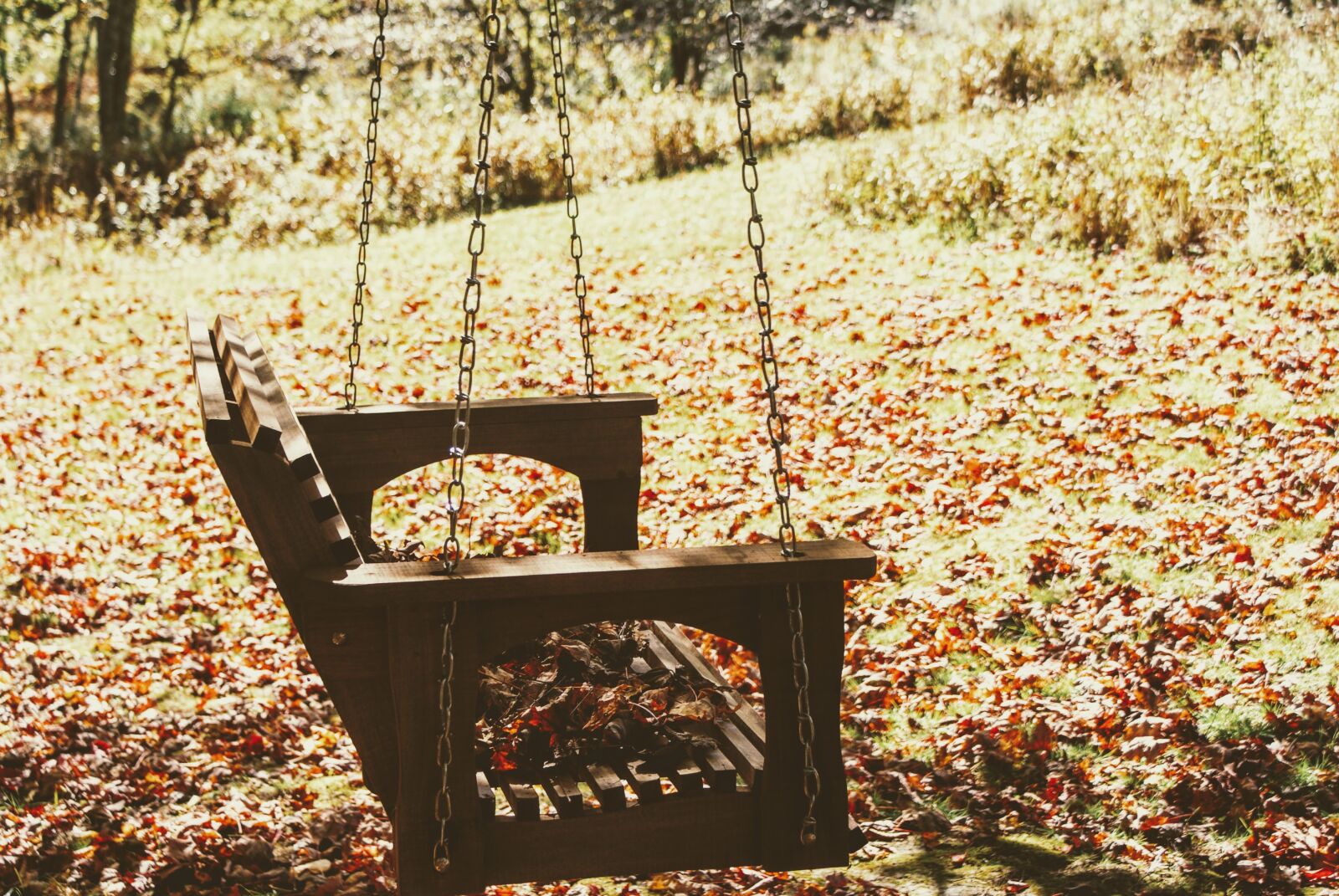 Sony Alpha DSLR-A200 sample photo. Swing, leaves, fall photography
