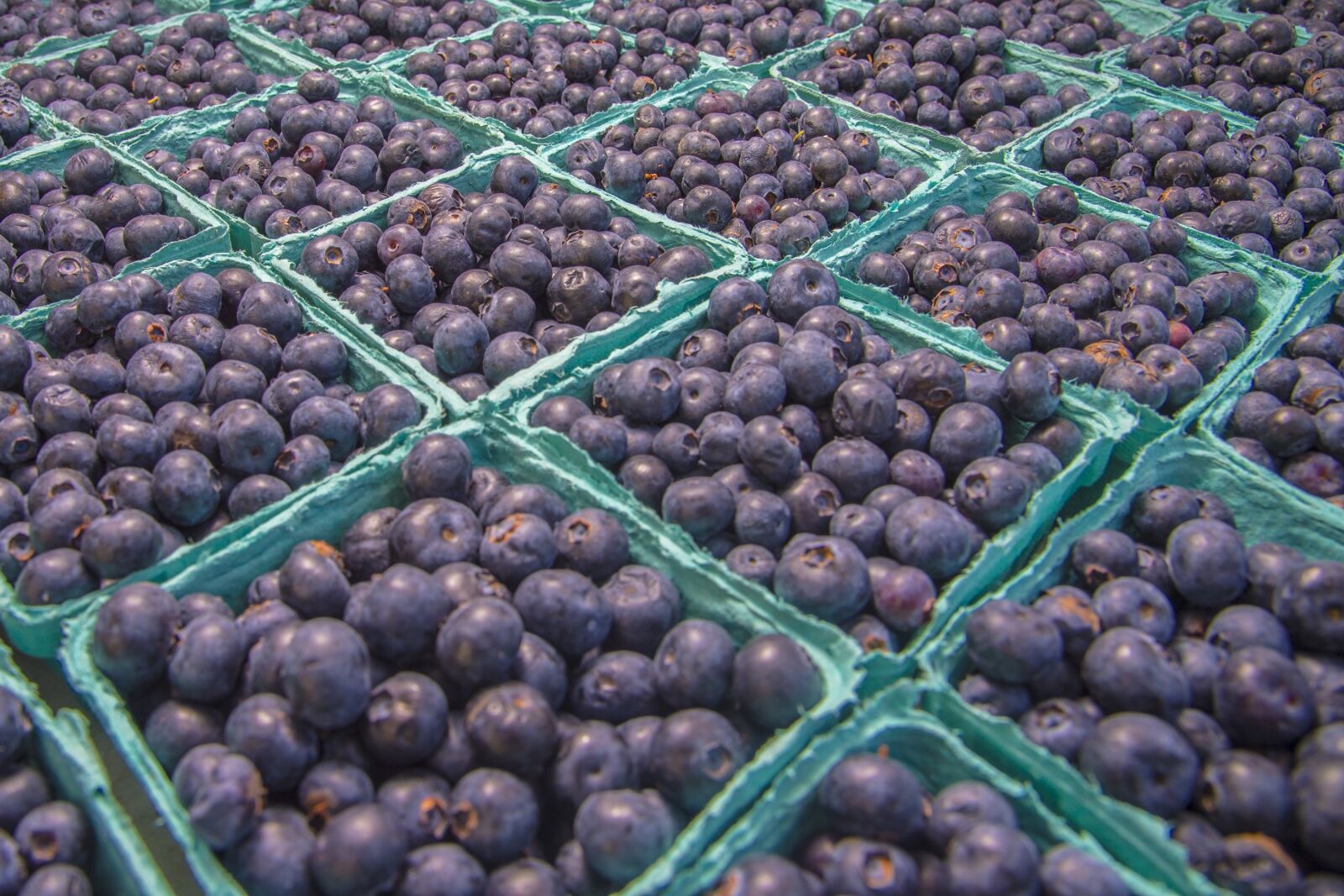 Nikon D4 sample photo. Blueberries, fresh, fruit photography