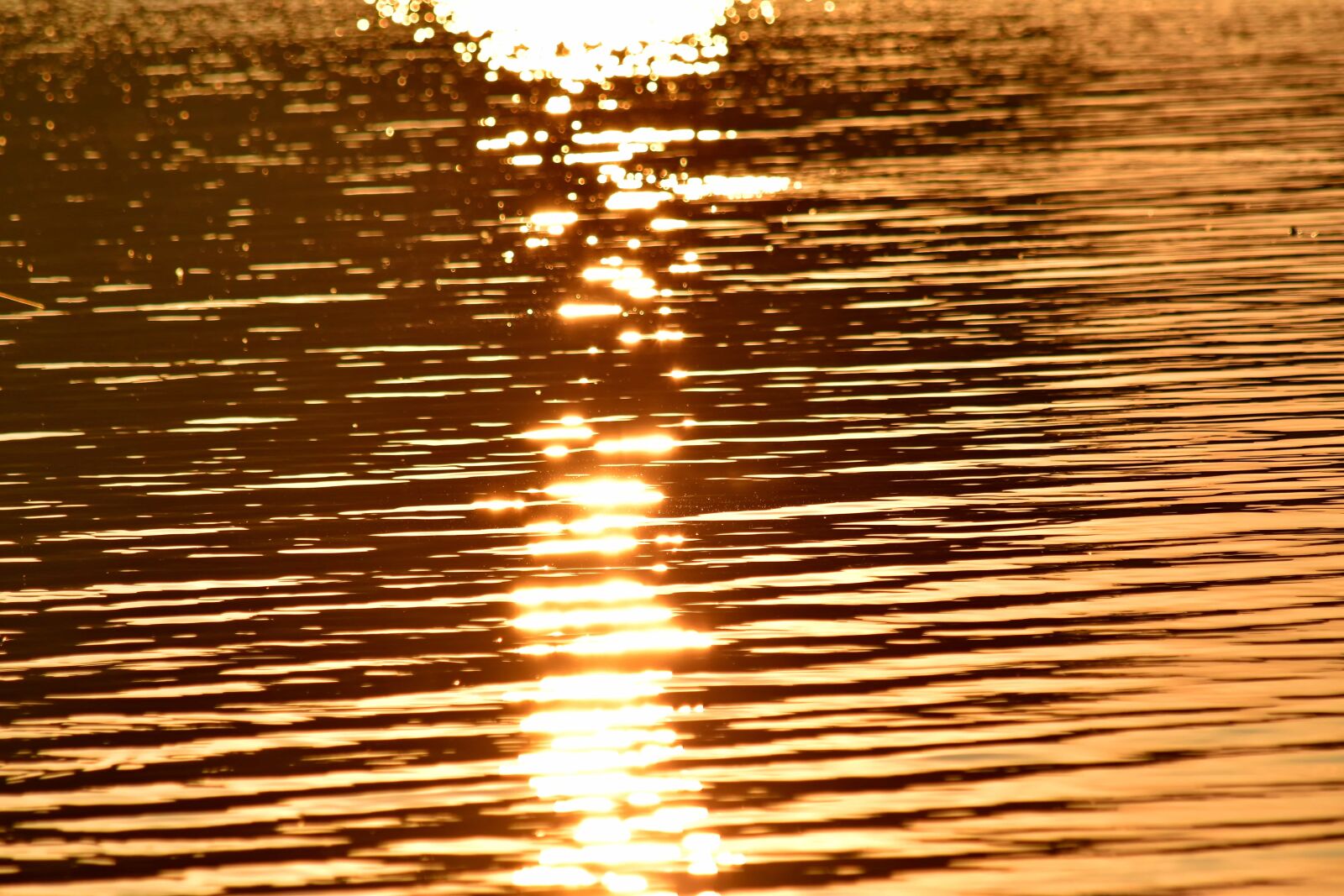 Nikon D5500 sample photo. Horizon, ripple, sunset, water photography