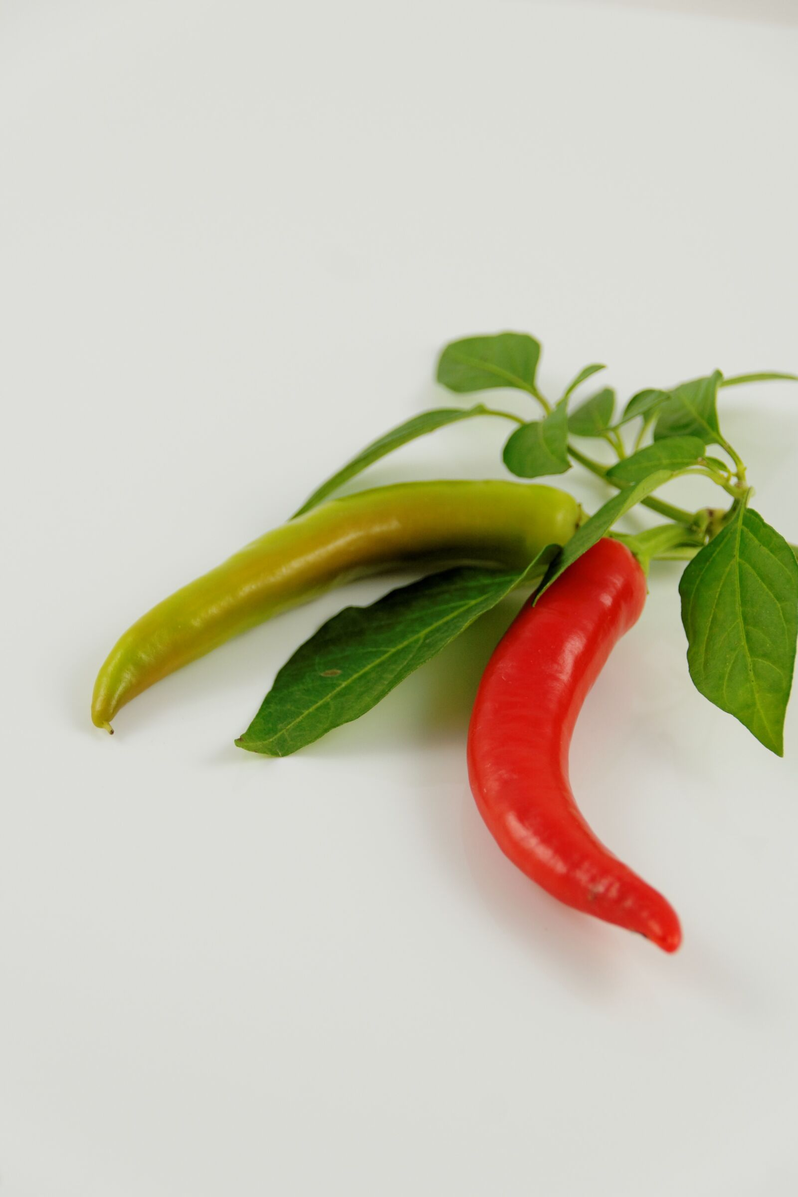 Canon EOS 30D sample photo. Paprika, pepperonie, food photography