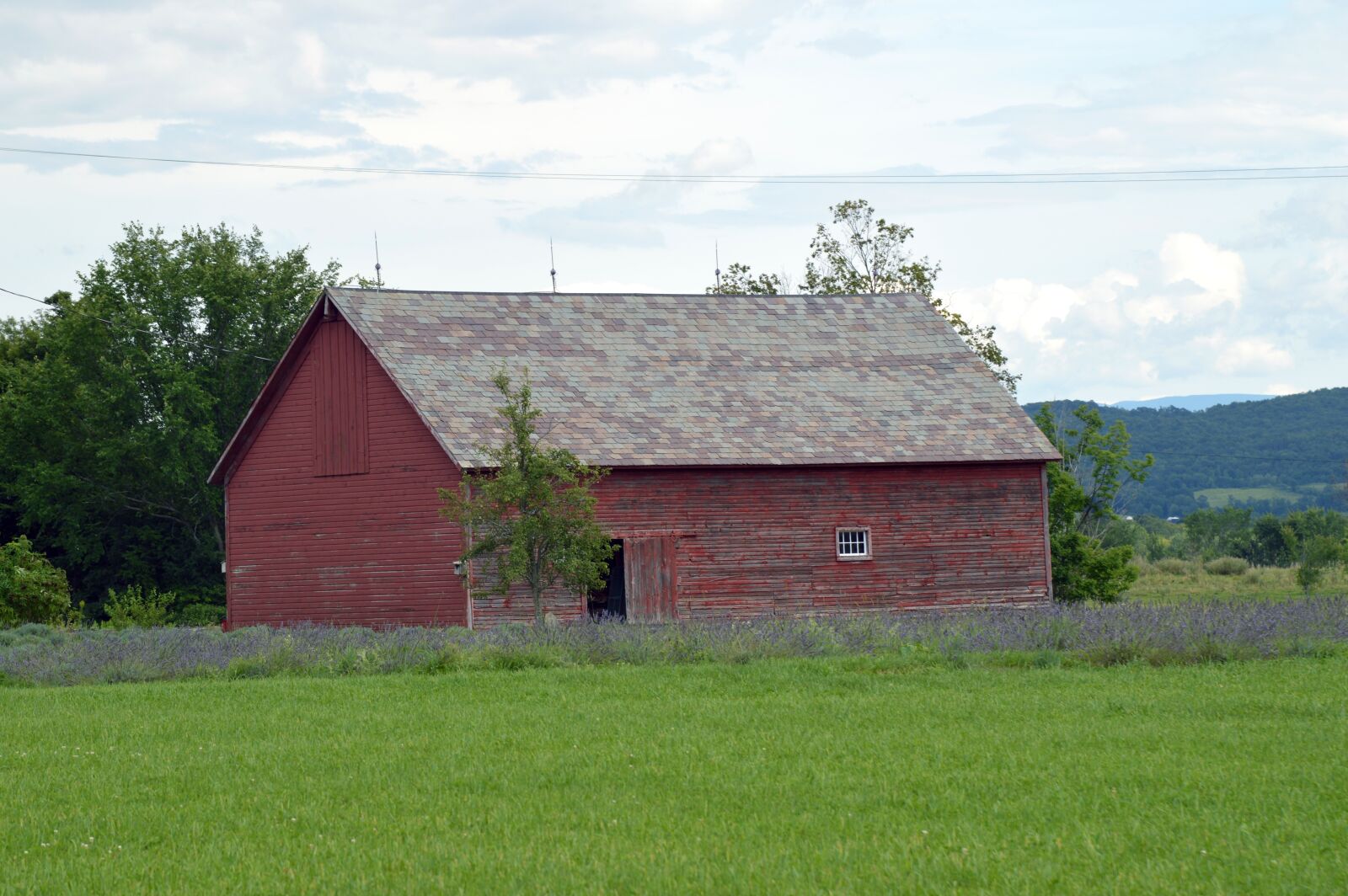 Nikon D3200 sample photo. Barn, old building, red photography