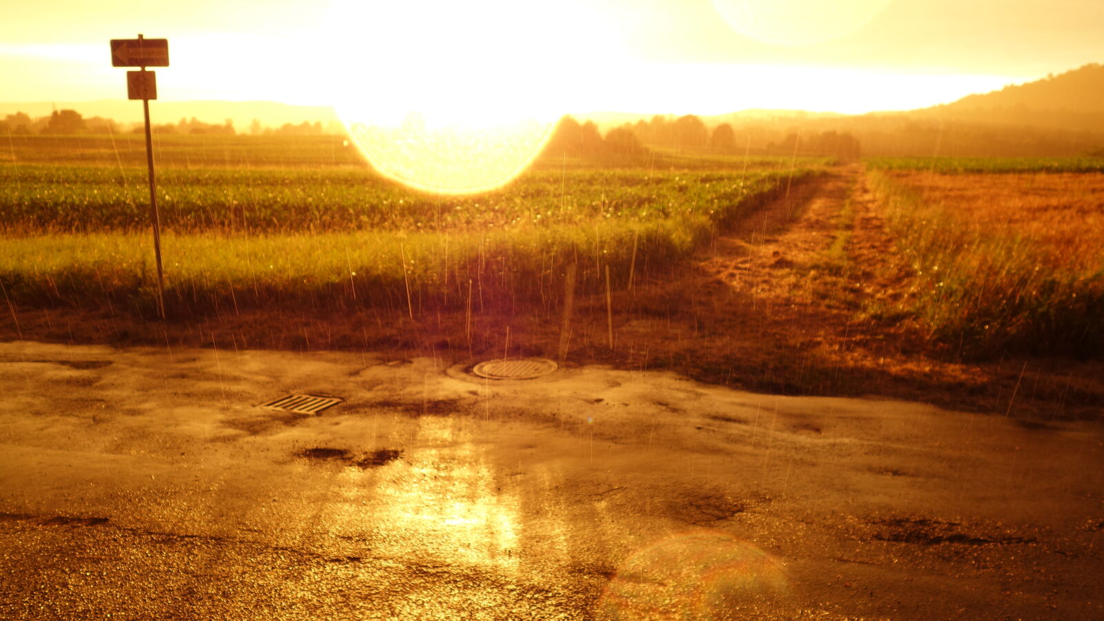 Sony Cyber-shot DSC-RX100 sample photo. Fields, golden, sunset, rain photography