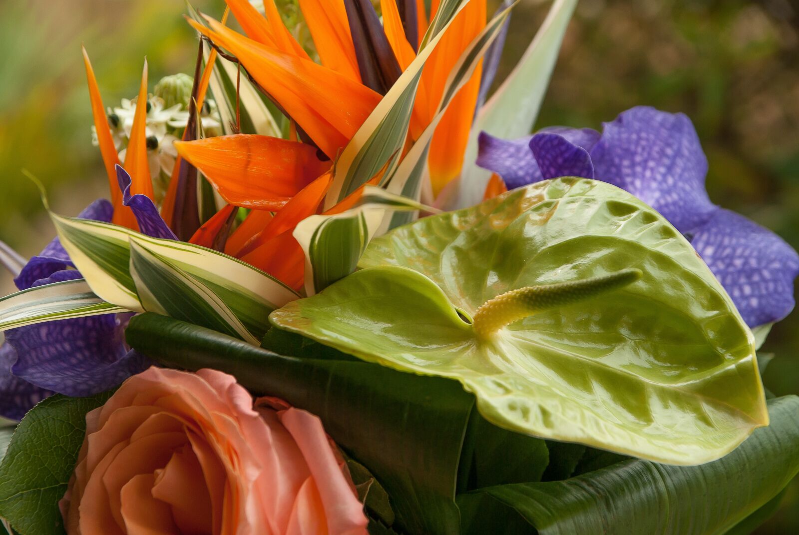 Pentax K10D sample photo. Flowers, anthurium, bouquet photography