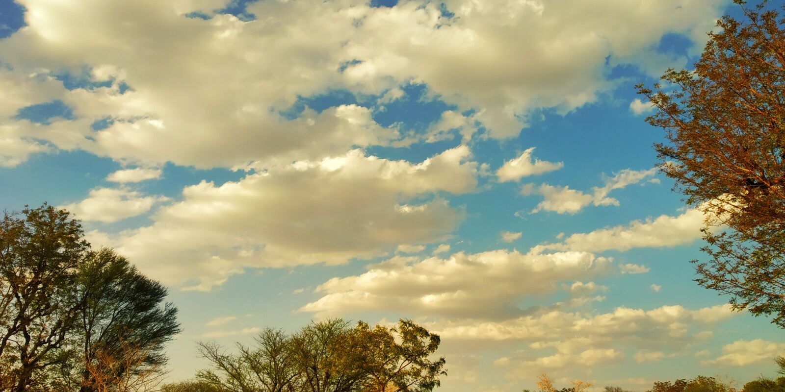 Xiaomi Redmi Note 5 Pro sample photo. Sky, blue sky, pixabay photography
