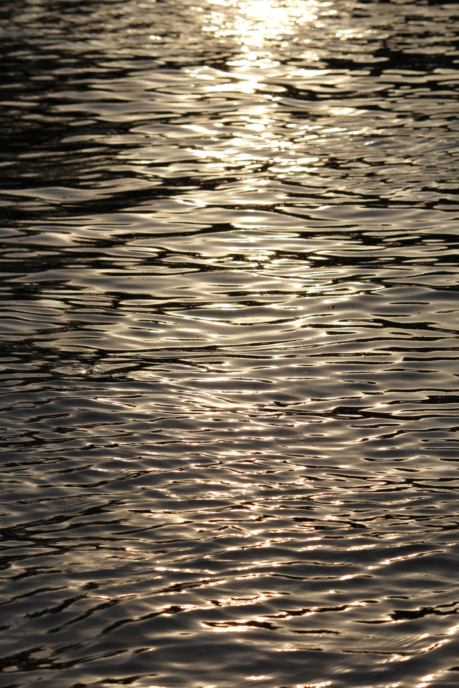 Canon EOS 600D (Rebel EOS T3i / EOS Kiss X5) sample photo. Background, nature, abstract photography