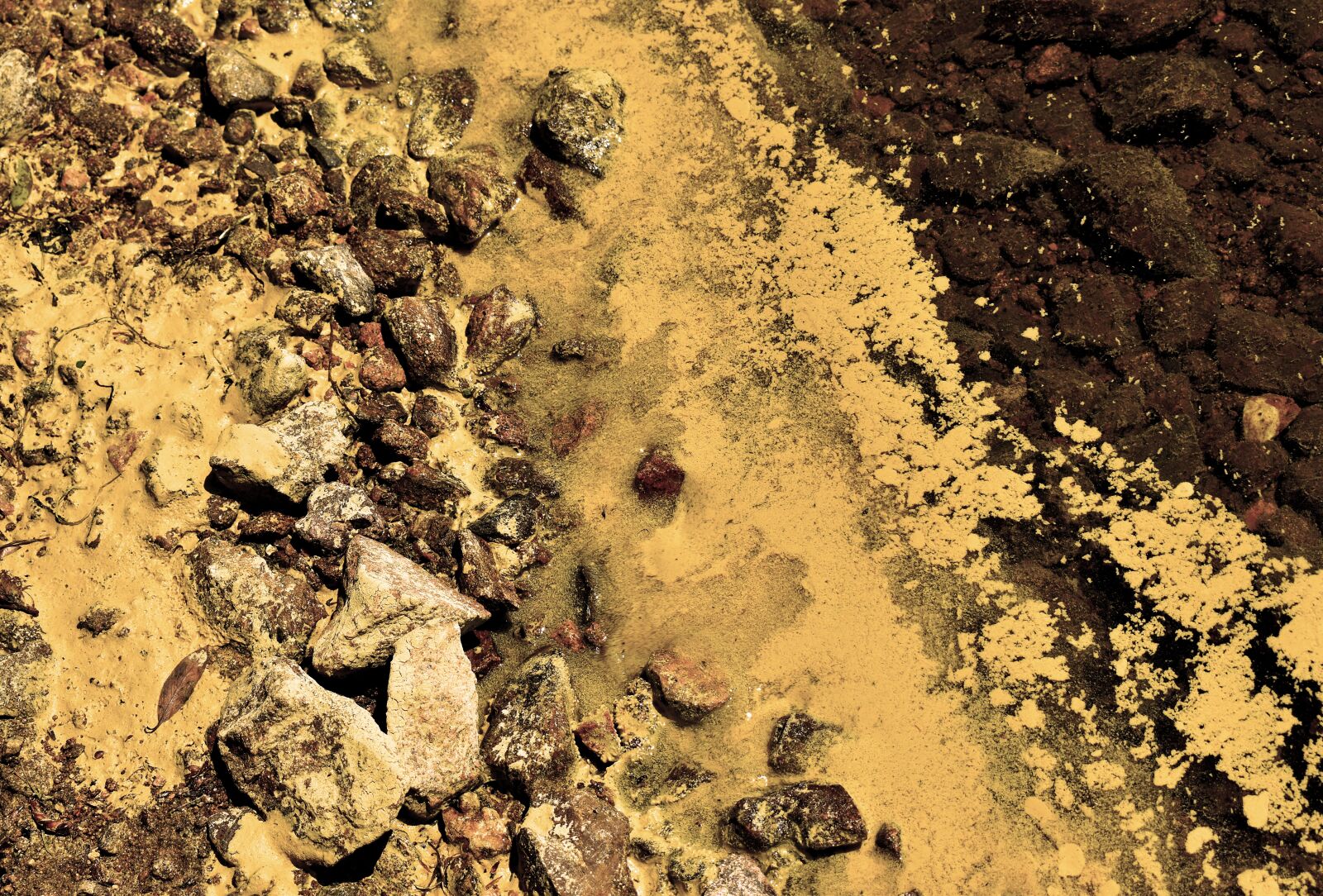 Nikon D3500 sample photo. River, pollen, water photography