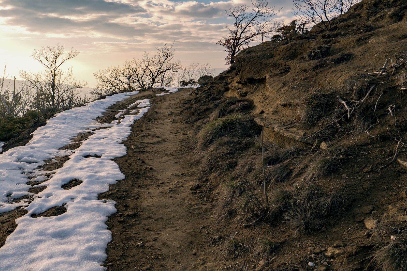 LEICA DG 12-60/F2.8-4.0 sample photo. Nature, landscape, snow photography