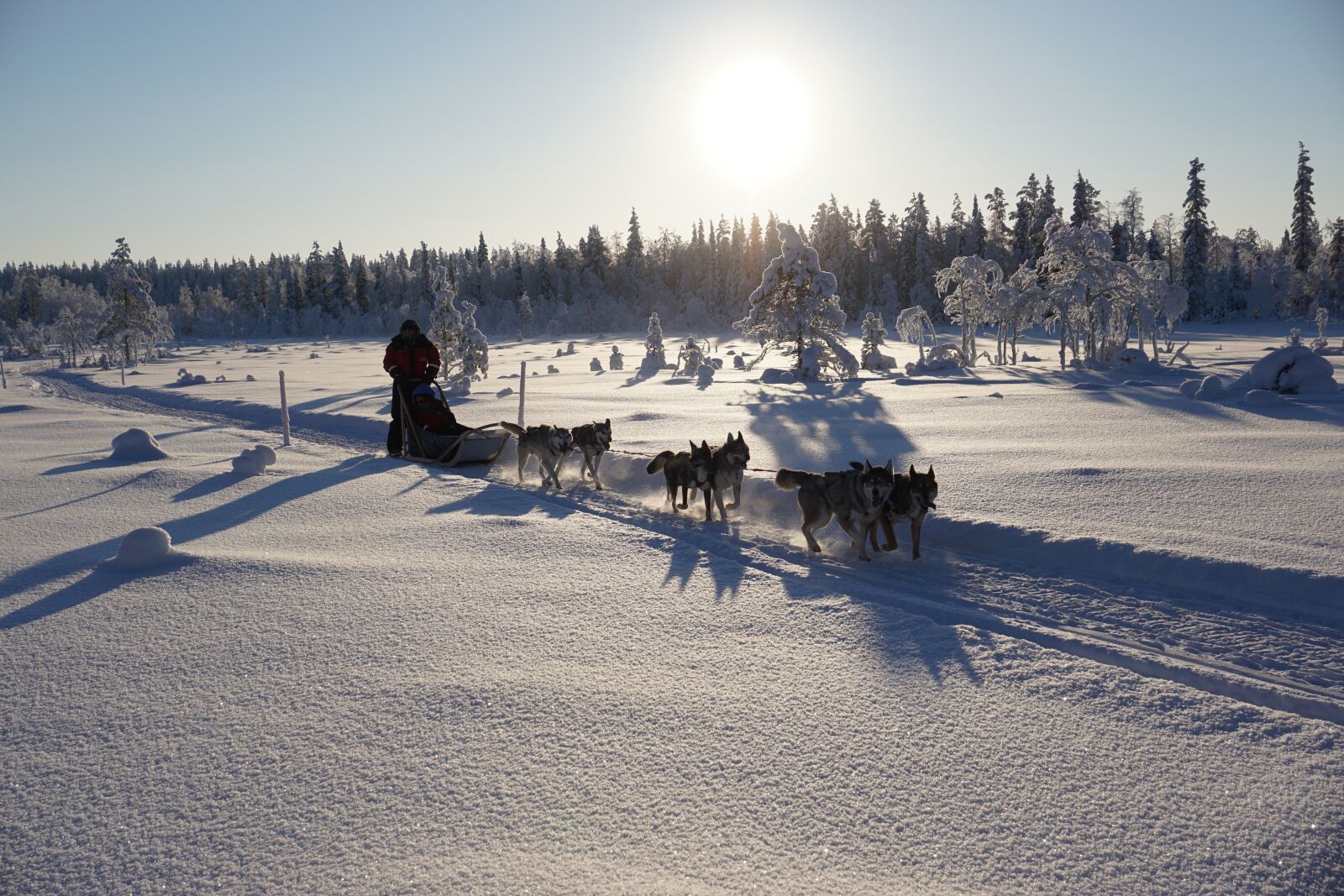 Sony E 16-50mm F3.5-5.6 PZ OSS sample photo. Sun, winter, winter wonderland photography