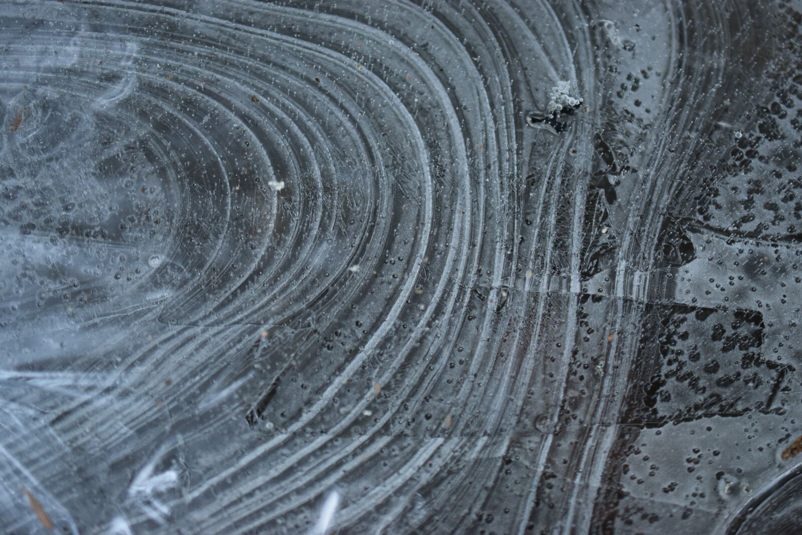 Nikon D5300 sample photo. Stripes, gel, ice photography