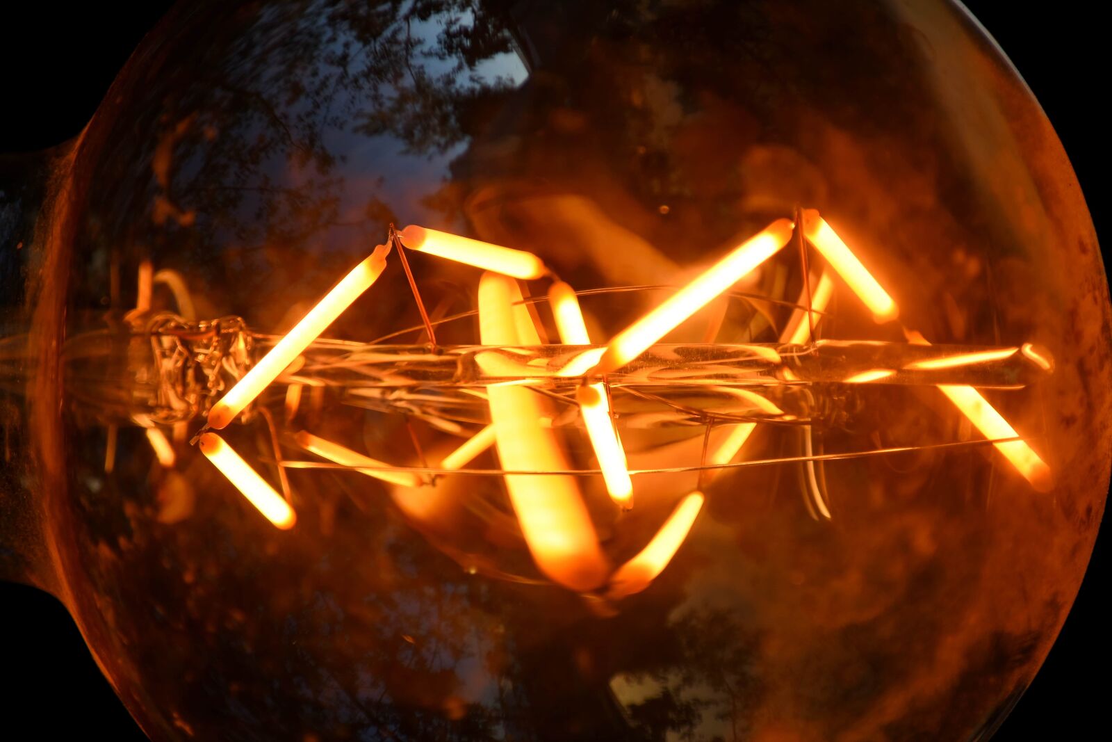 Nikon D5500 sample photo. Detail, light bulb, light photography
