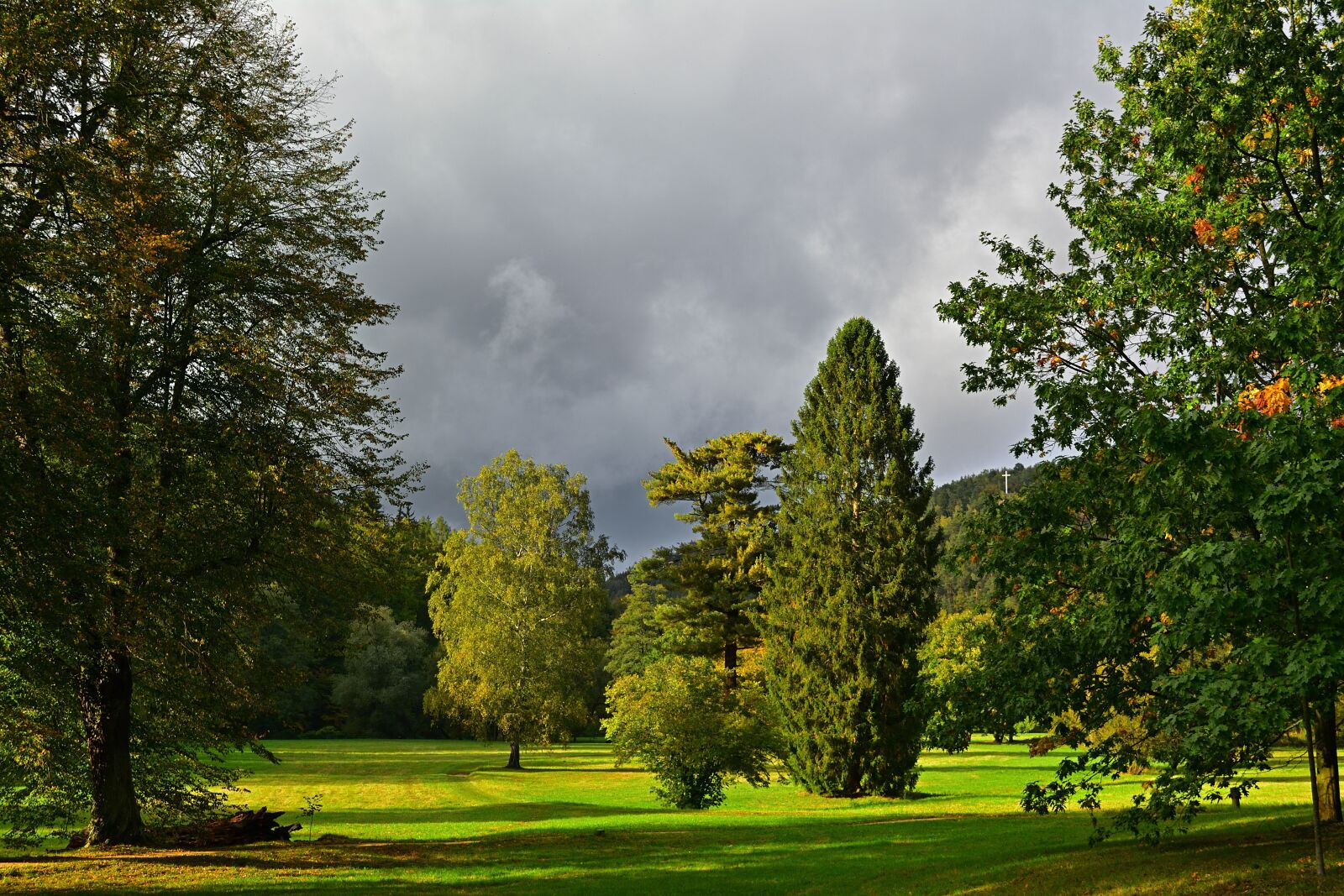 Nikon D5200 sample photo. Park, landscape, storm photography