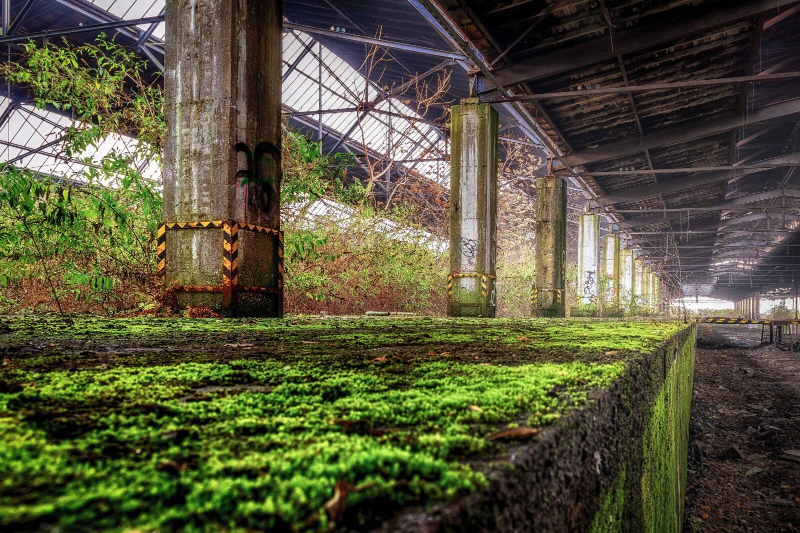 Nikon D3300 sample photo. Plant, structure, city, construction photography