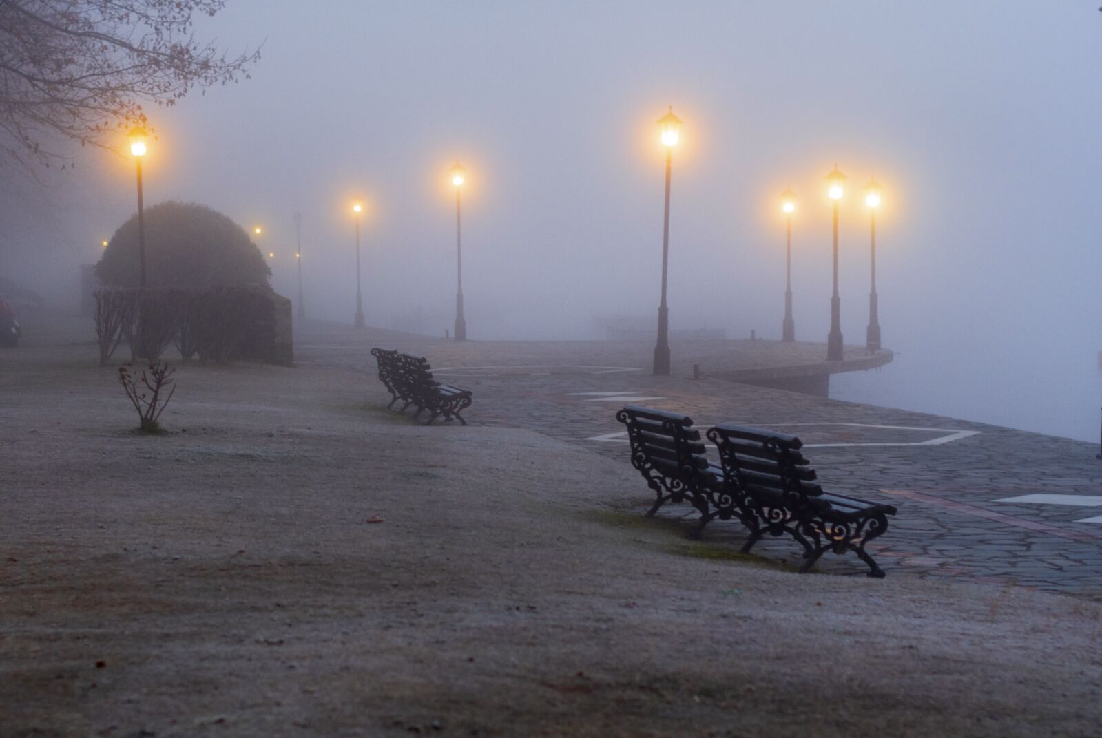 Nikon D7200 sample photo. Fog, mist, magic photography
