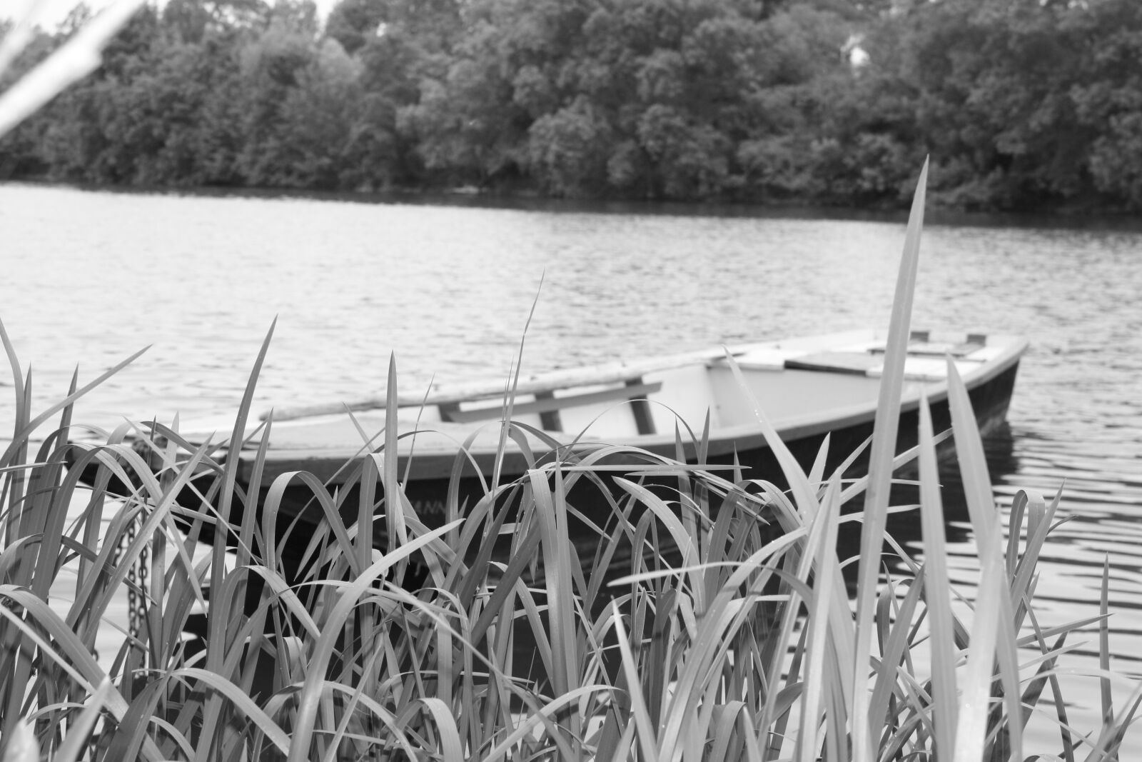 Canon EOS 450D (EOS Rebel XSi / EOS Kiss X2) sample photo. Natures, river, peace of photography