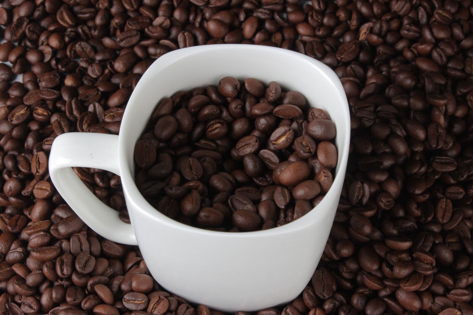 Canon EOS 600D (Rebel EOS T3i / EOS Kiss X5) sample photo. Coffee bean, mug, photography photography