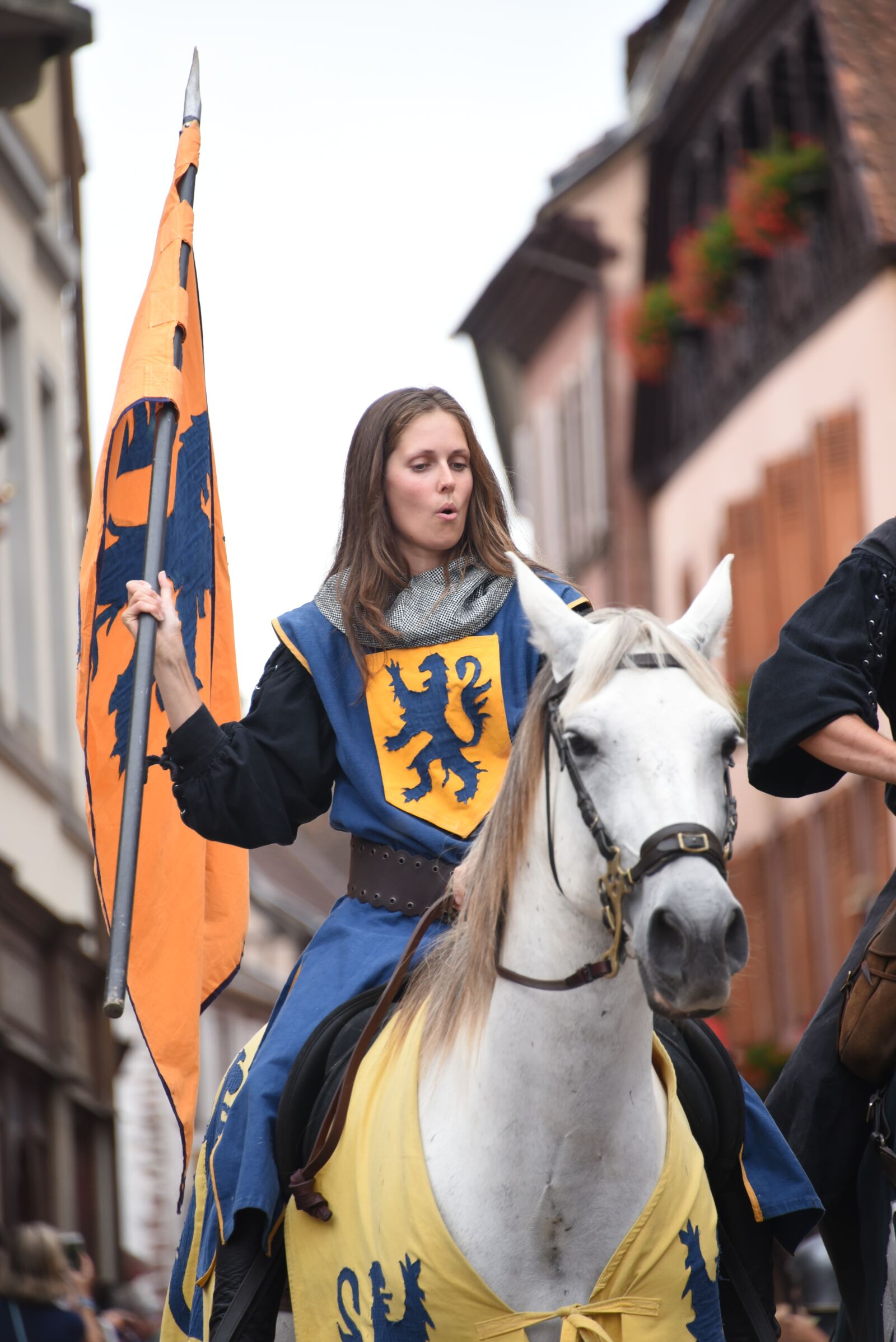 Nikon D750 sample photo. Horse, woman, flag photography