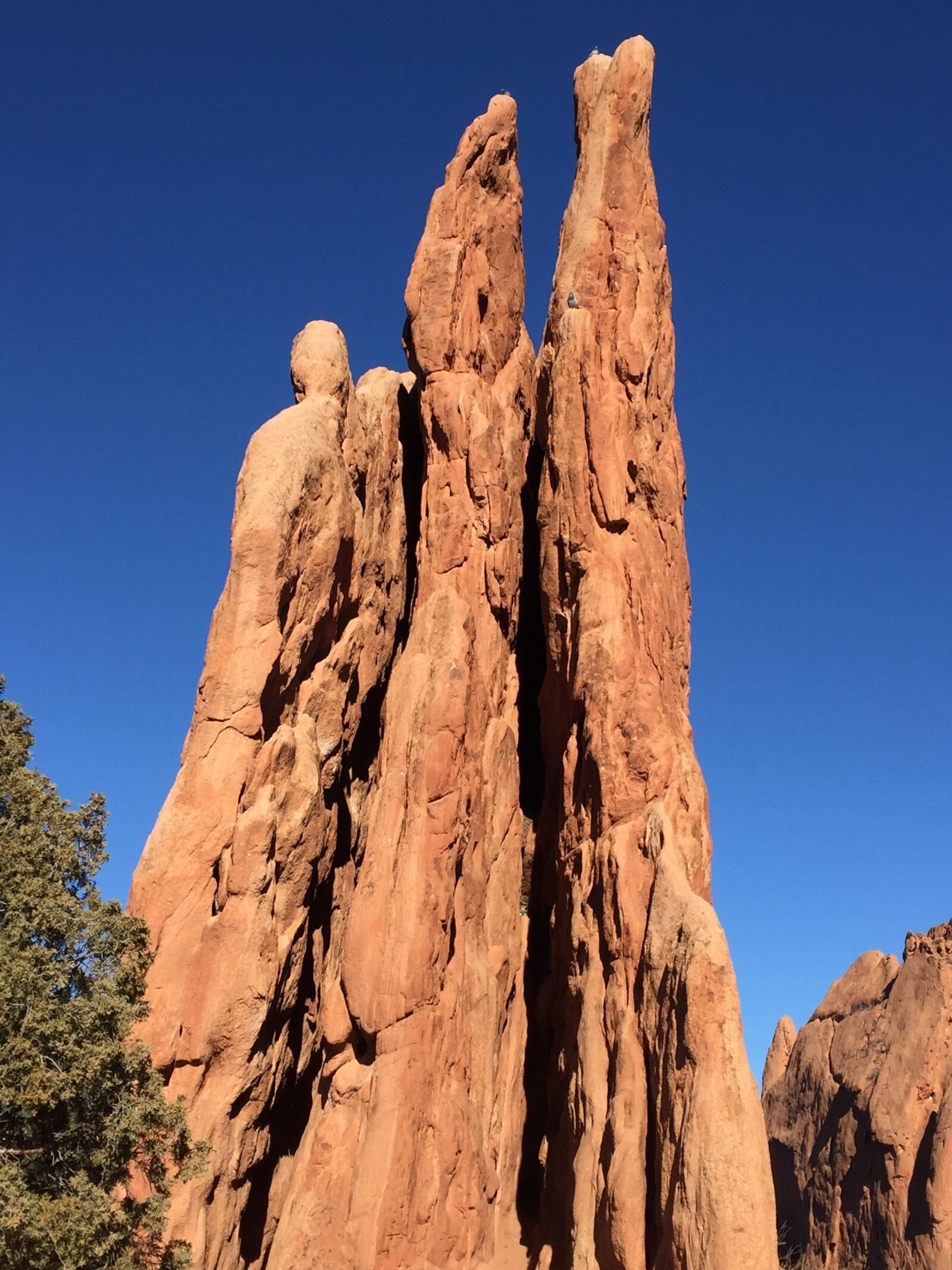 Apple iPhone 6 sample photo. Garden of the gods photography