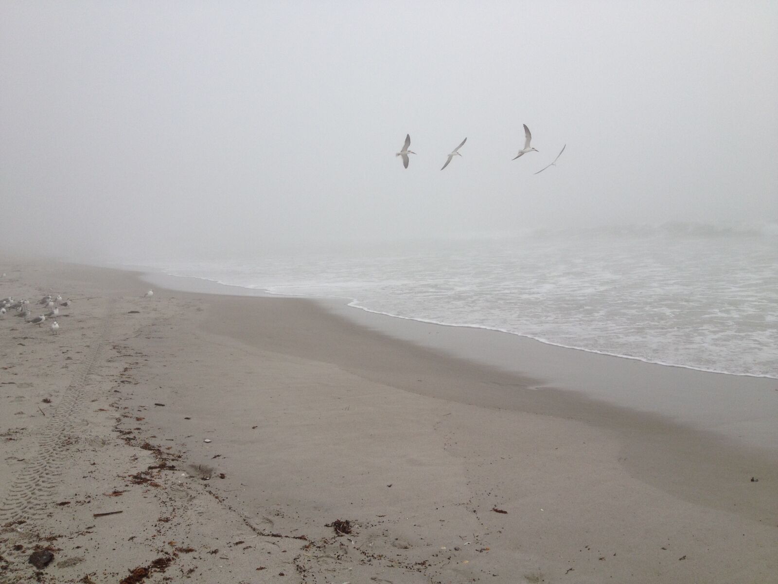 Apple iPhone 4S sample photo. Morning, beach, fog photography