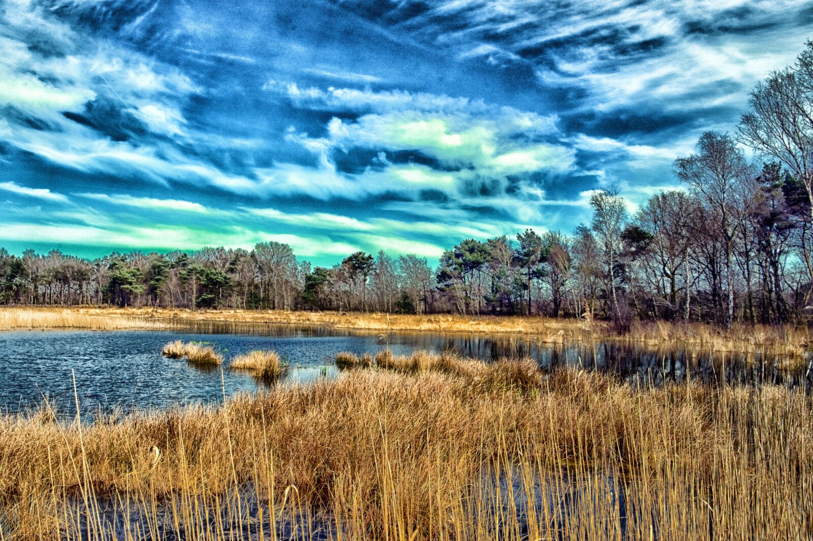 Nikon D5500 sample photo. Rozenven, water, blue sky photography
