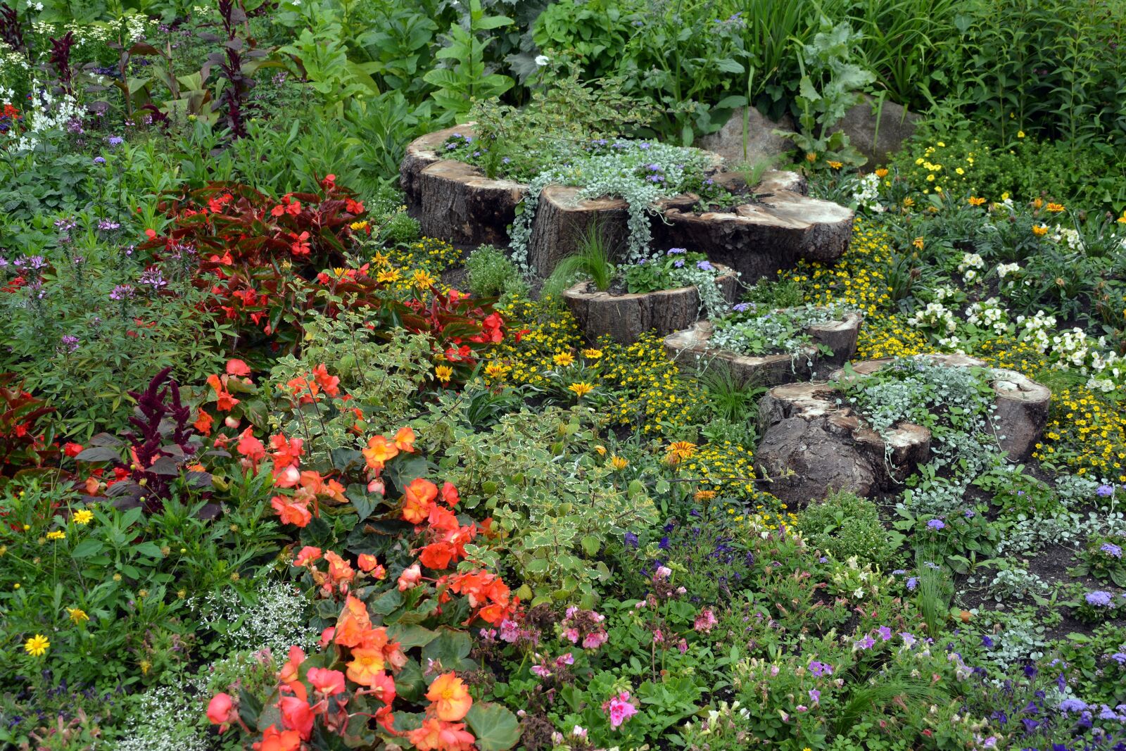 Nikon D5200 sample photo. Garden, fashion, garden design photography
