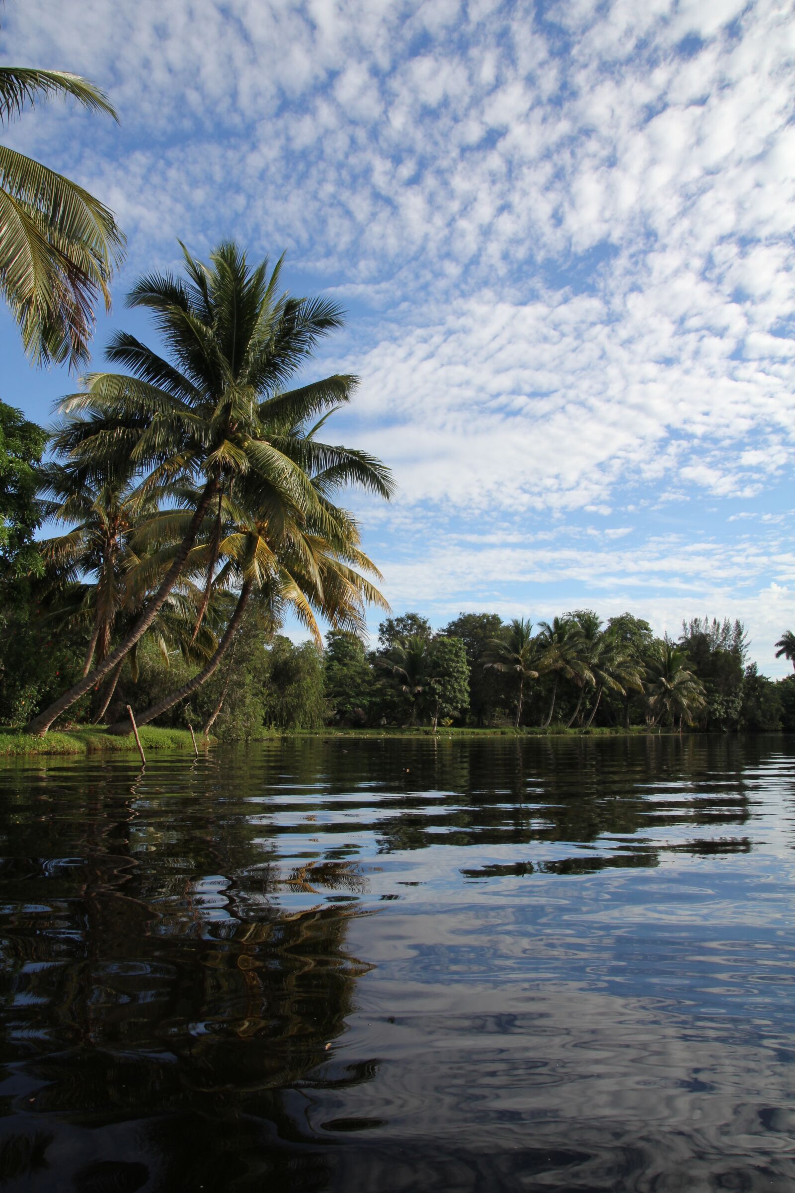 Canon EOS 60D sample photo. Cuba, river, natural lake photography
