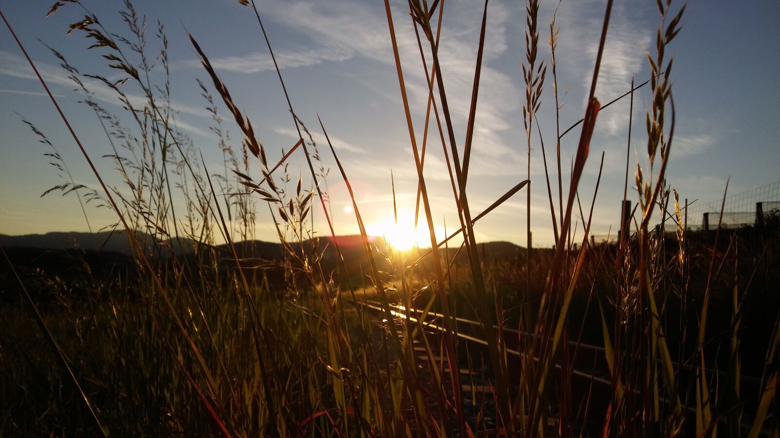 LG H650E sample photo. Rails, sunset, grass photography