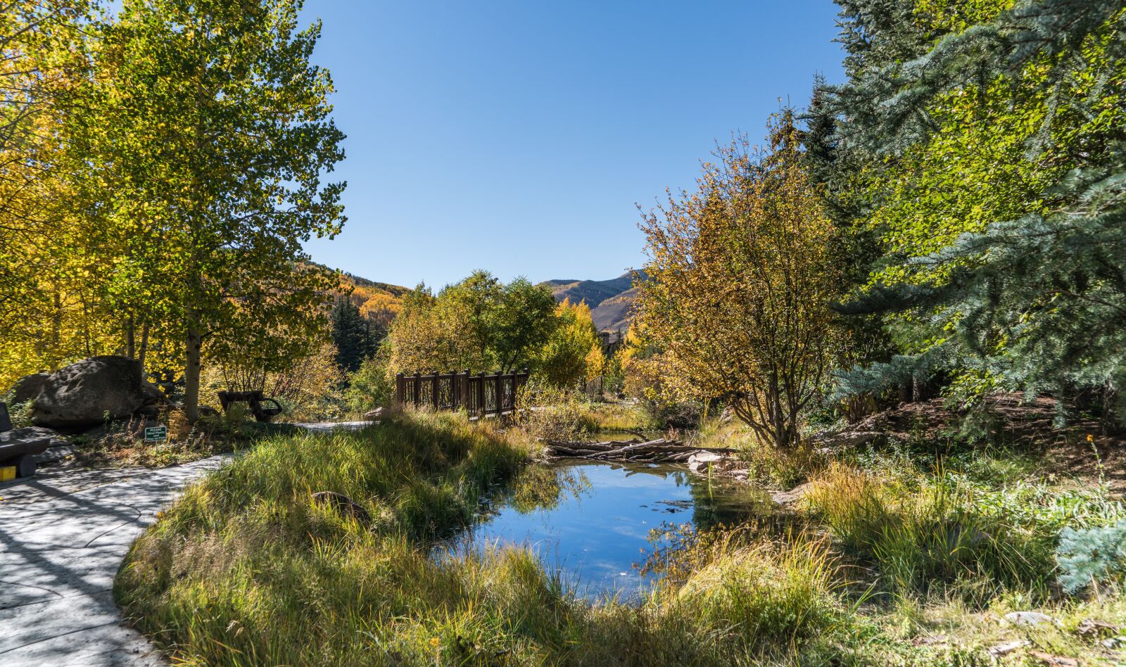 Sony a7R II + Sony FE 24-240mm F3.5-6.3 OSS sample photo. Vail, colorado, pond photography