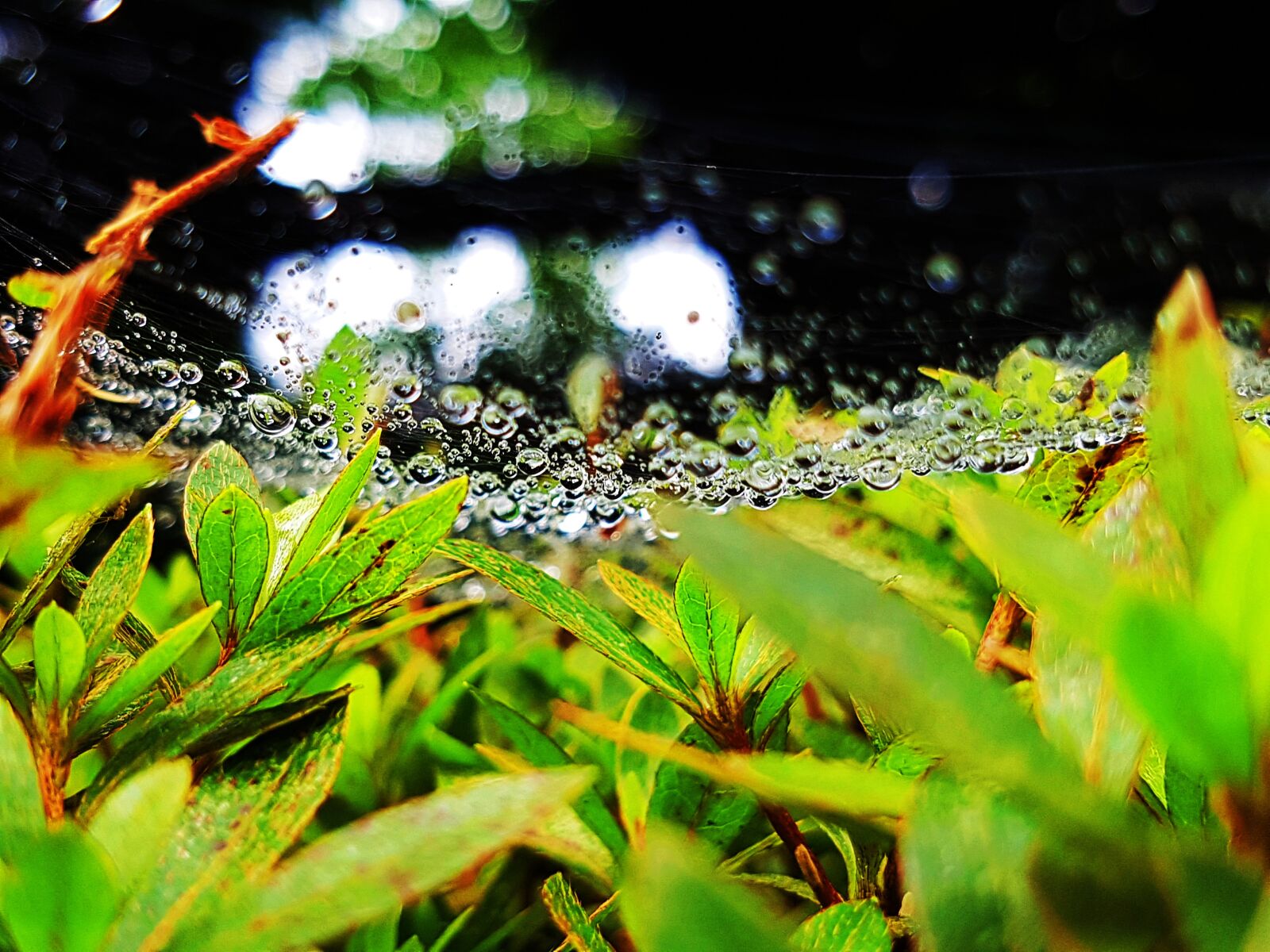 Samsung Galaxy S7 Edge sample photo. Trickle, non, water photography