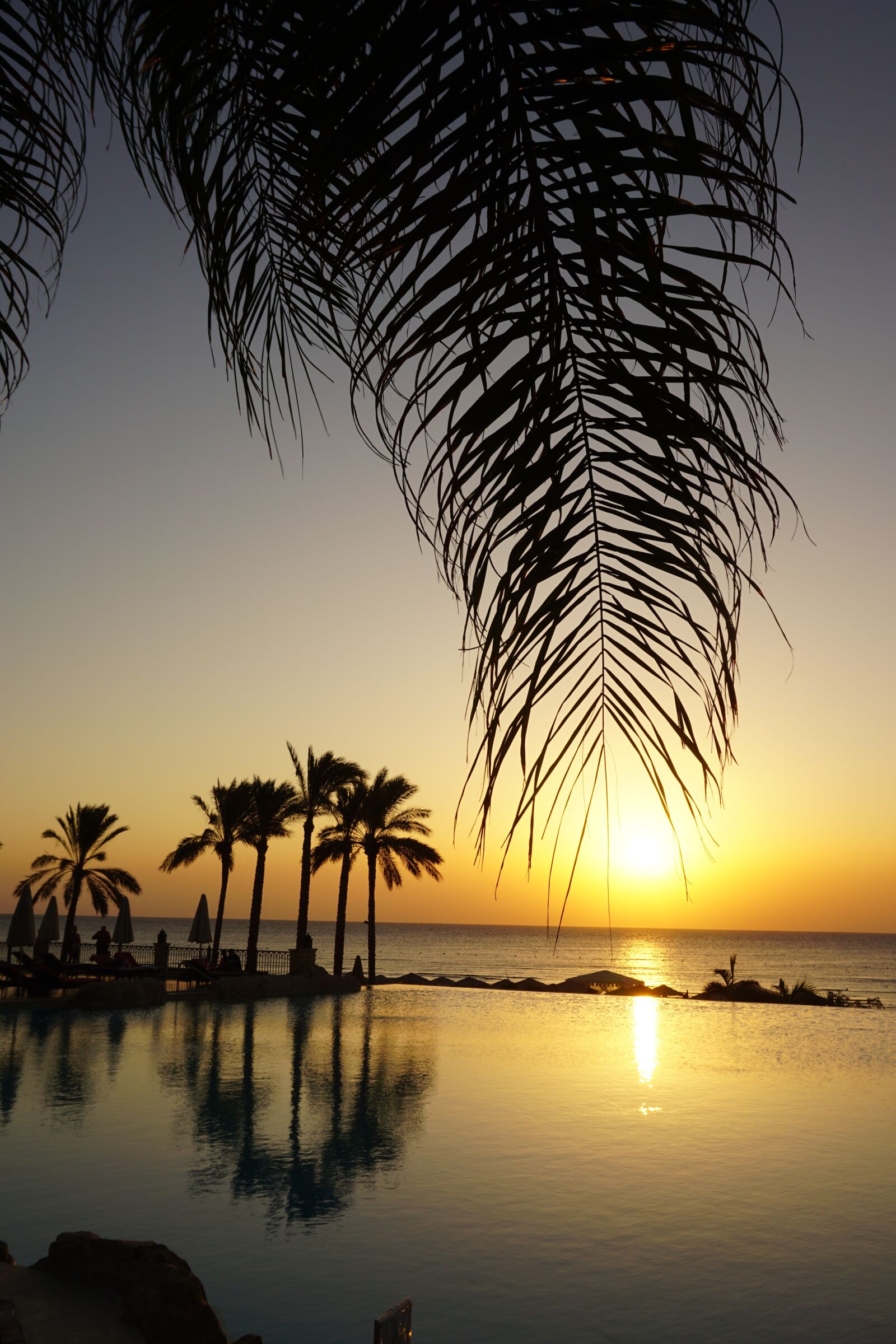 Sony E 16-50mm F3.5-5.6 PZ OSS sample photo. Sunrise, palm trees, pool photography