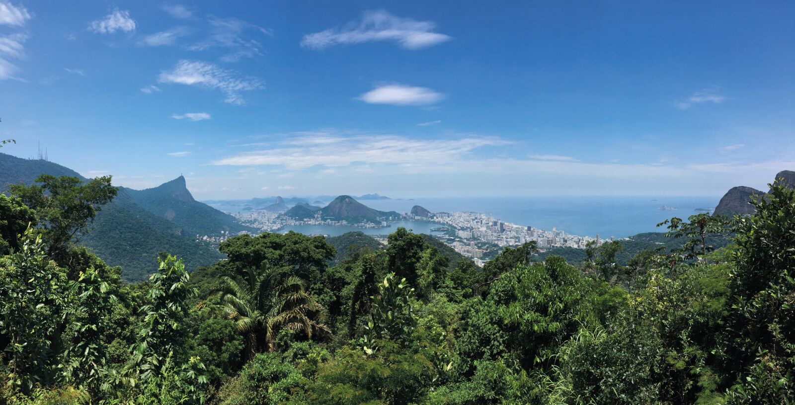 Apple iPhone 6 sample photo. Rio, landscape, selva photography