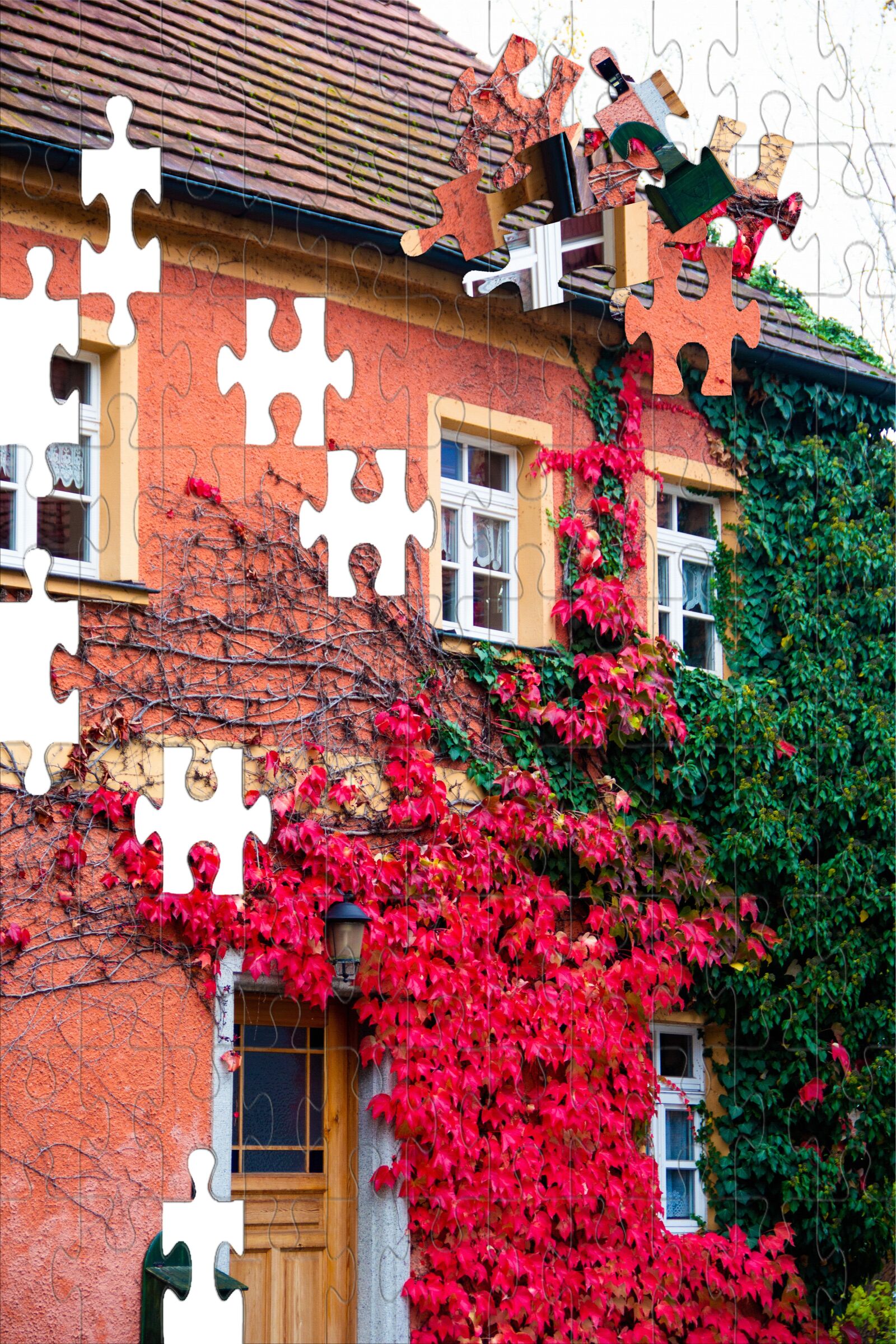 Canon EOS 60D sample photo. Autumn, puzzle, house photography
