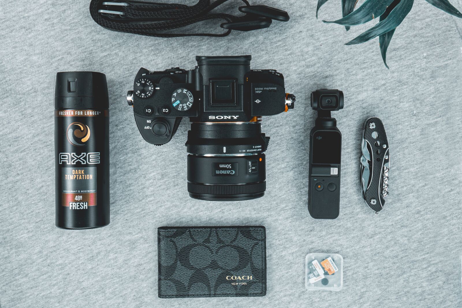 Canon EOS 6D sample photo. Camera, sony, alpha photography