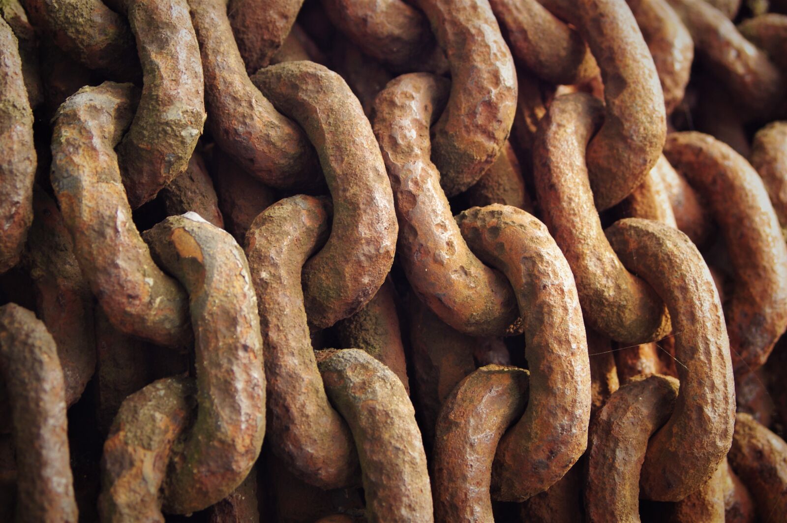 Pentax K-x sample photo. Rusty, old, chain photography