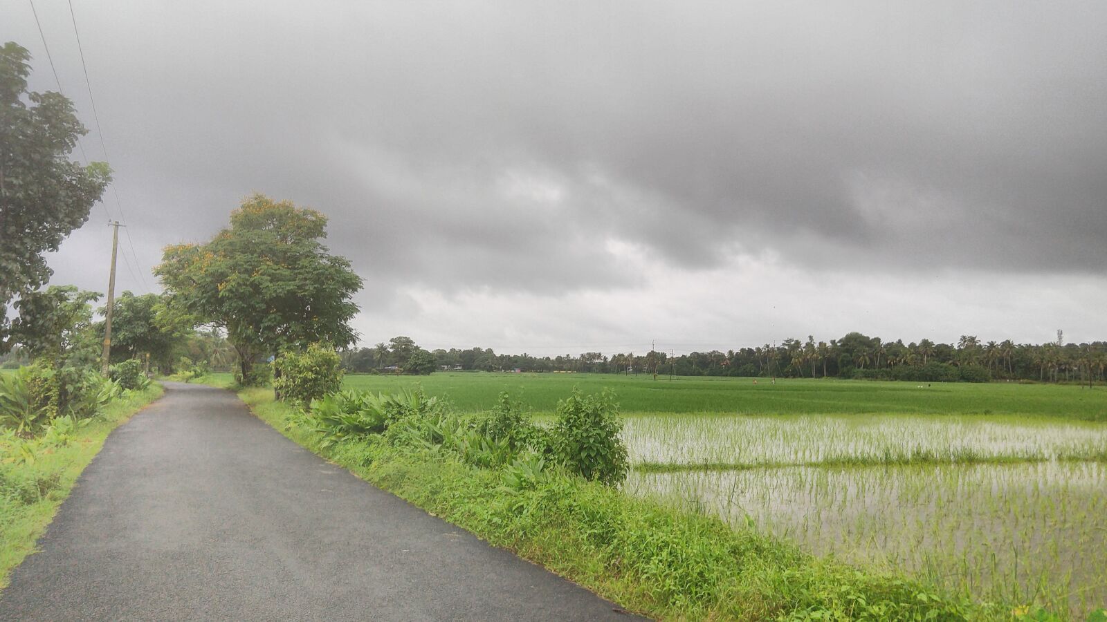 Motorola moto x4 sample photo. Kerala, monsoon, rain photography