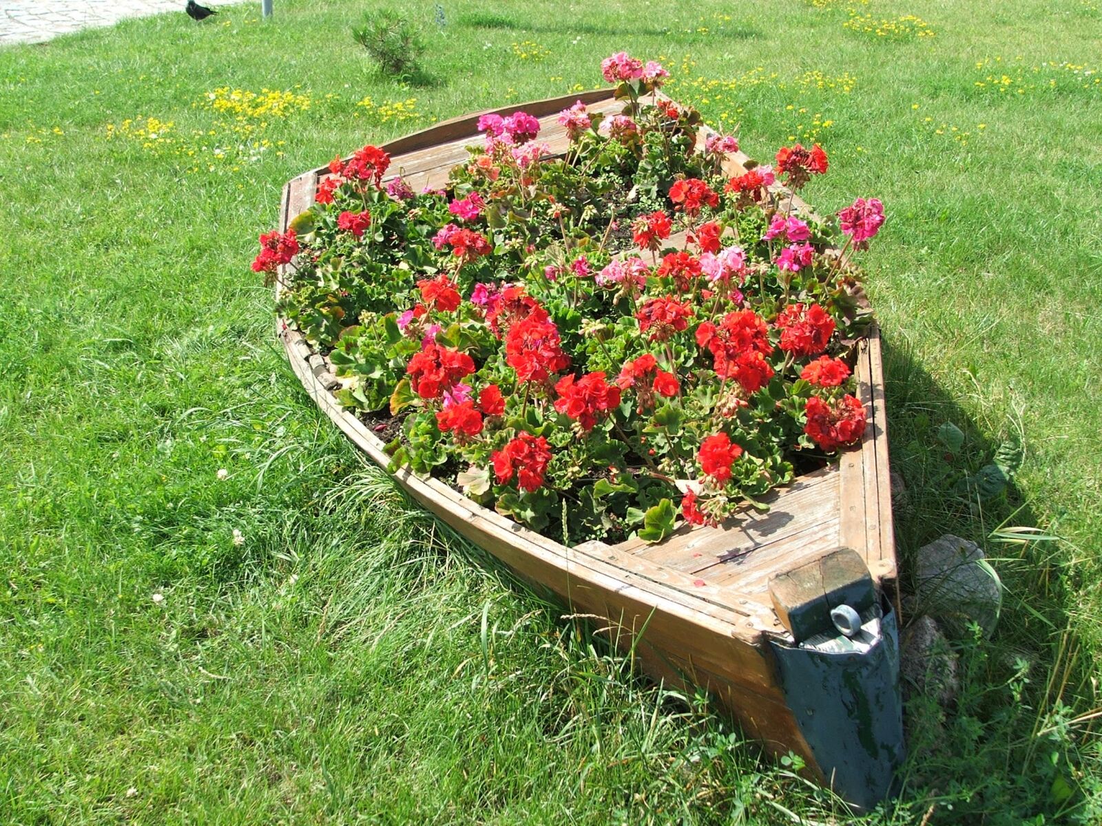 Fujifilm FinePix S5100 sample photo. Flowerbed, flowers, old boat photography