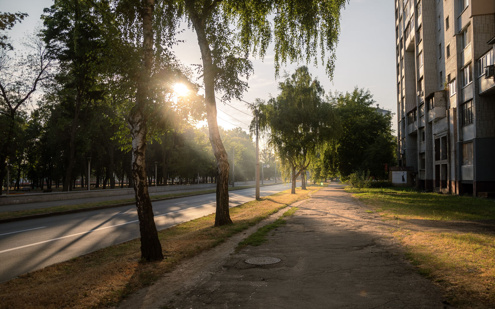 Nikon D750 sample photo