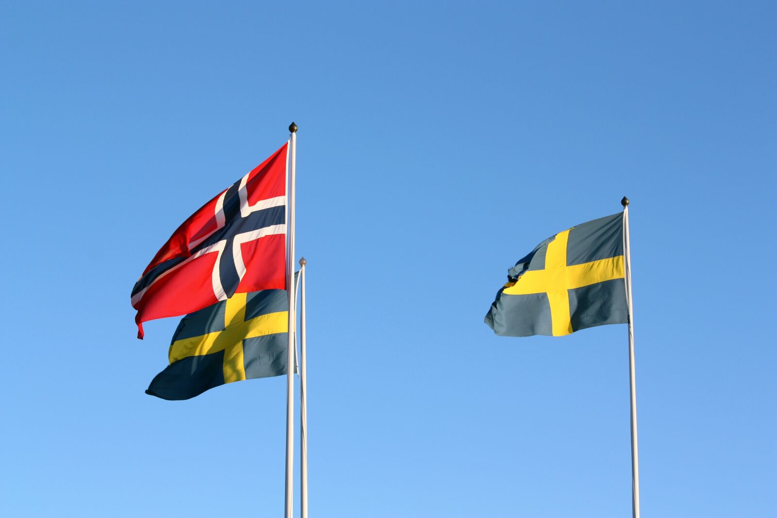 Canon EOS 450D (EOS Rebel XSi / EOS Kiss X2) sample photo. Flags, swedish, norwegian photography