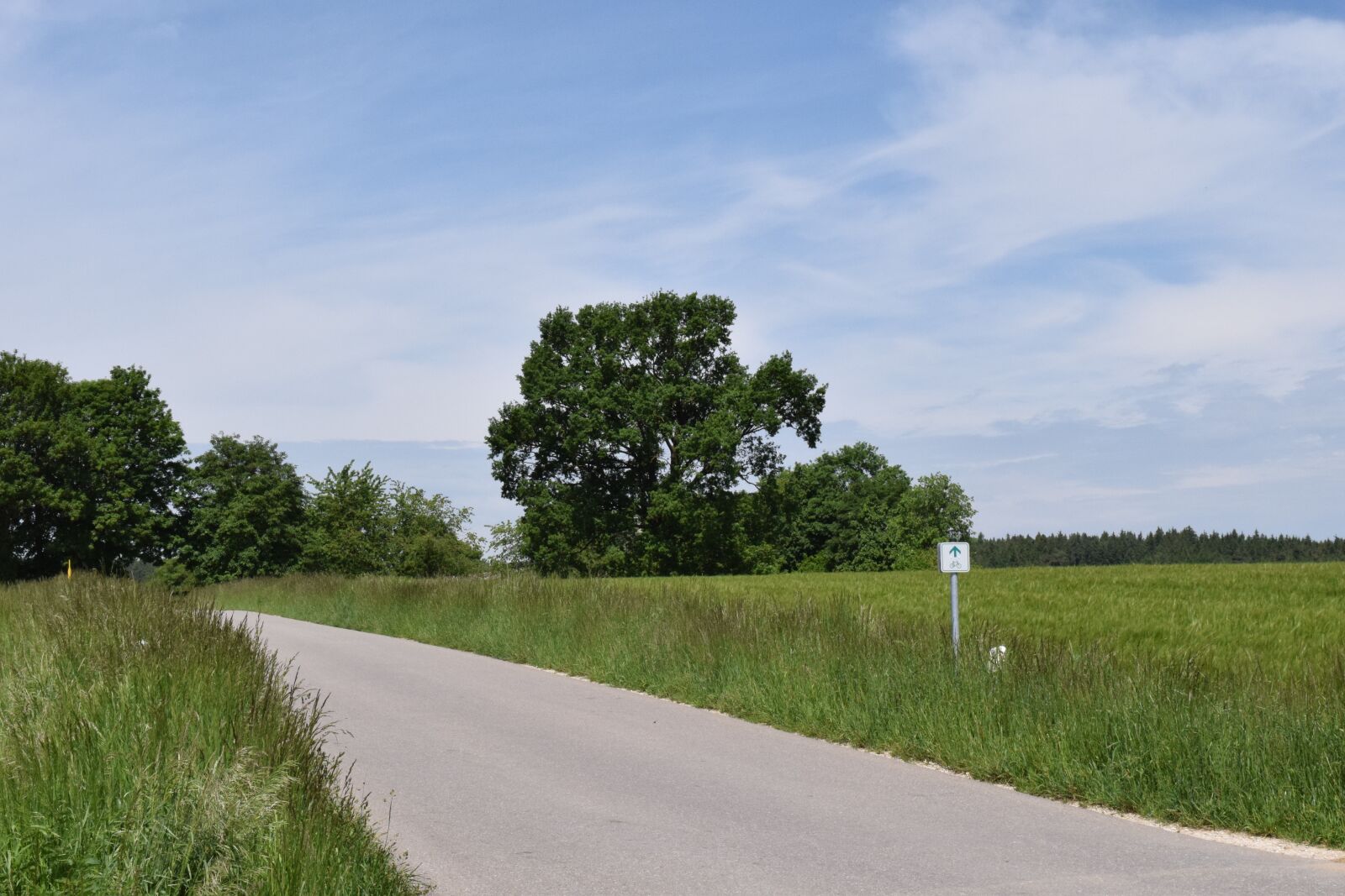 Nikon D3300 sample photo. Landscape, road, nature photography