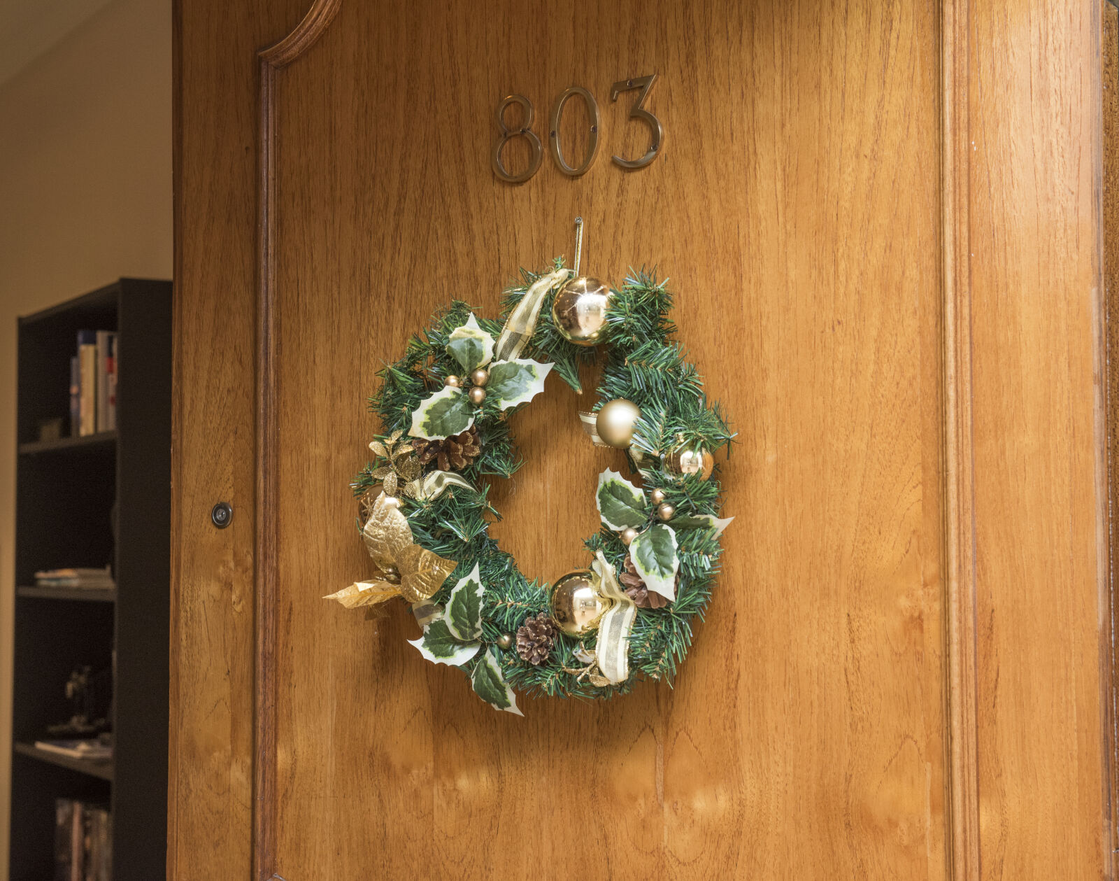 Nikon D750 sample photo. Christmas, wreath, hanging, on photography