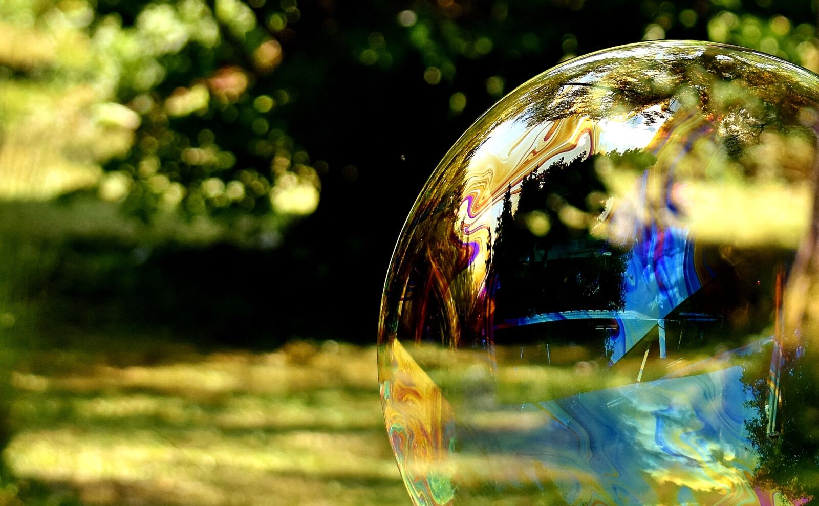 Nikon D7200 sample photo. Soap bubble, huge, large photography