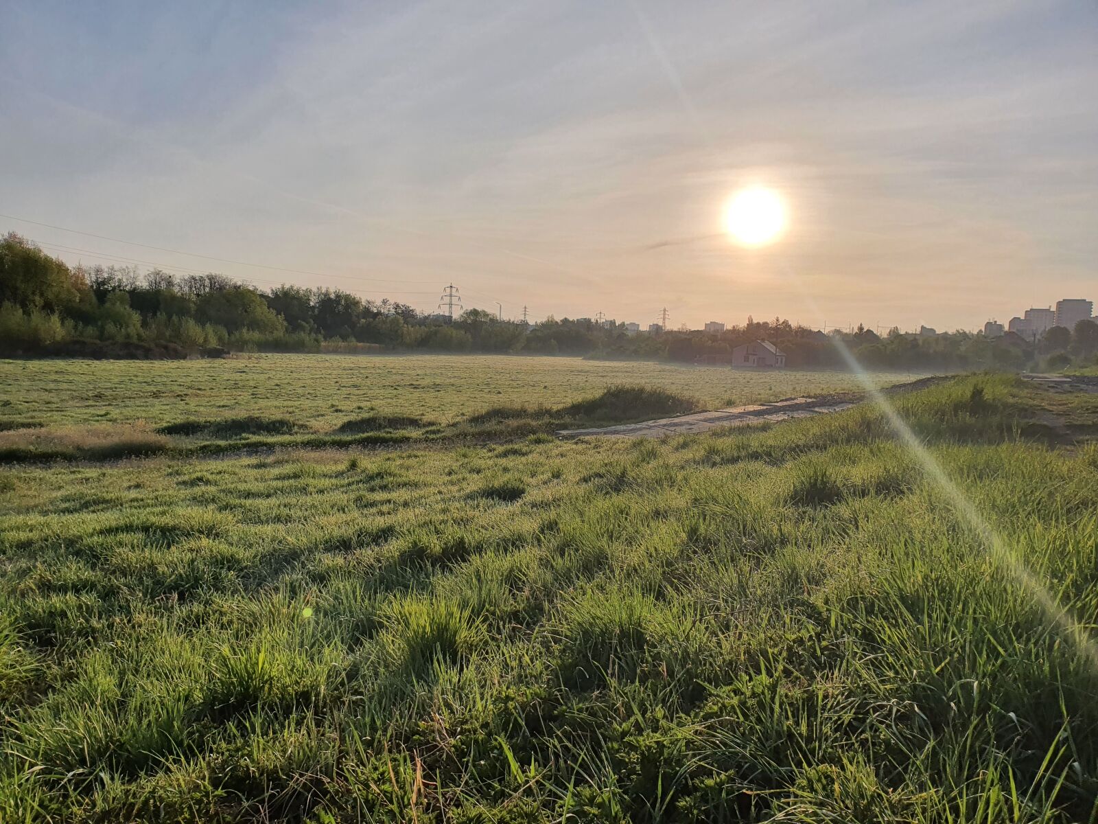 Samsung Galaxy S10+ sample photo. Trnkov, prague, meadow photography