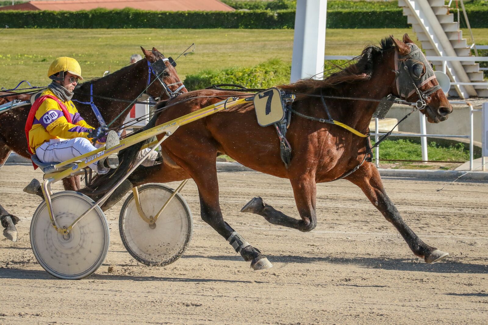 Canon EOS 7D Mark II sample photo. Horses, racing, trot photography